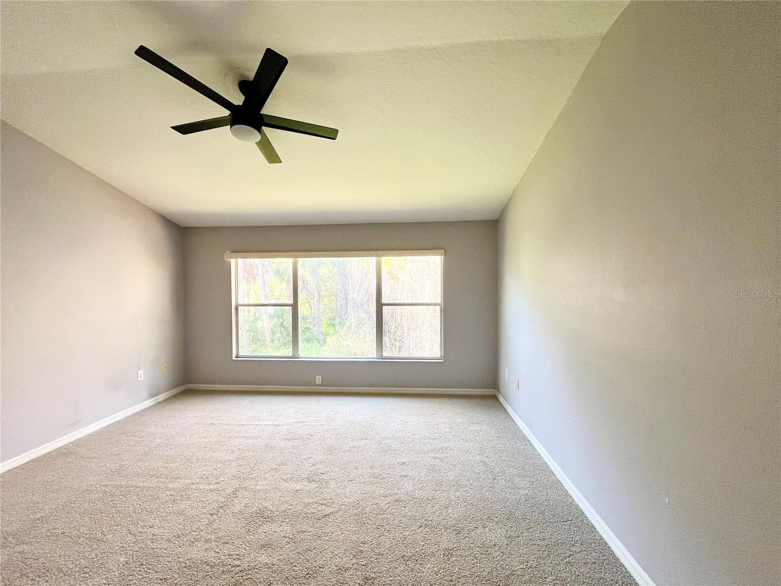 Large Master Bedroom with Oversized window for Great Natural Light