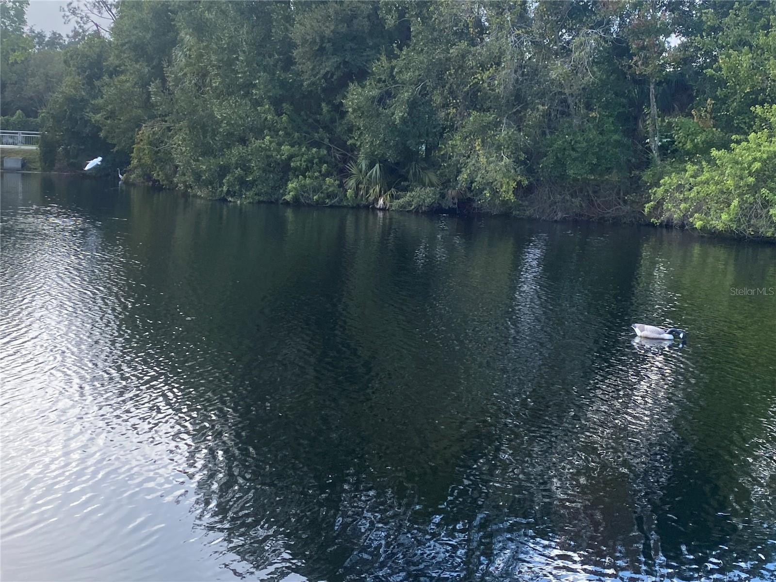 4400 CASTLEPALM RD, ORLANDO, FL, 32839