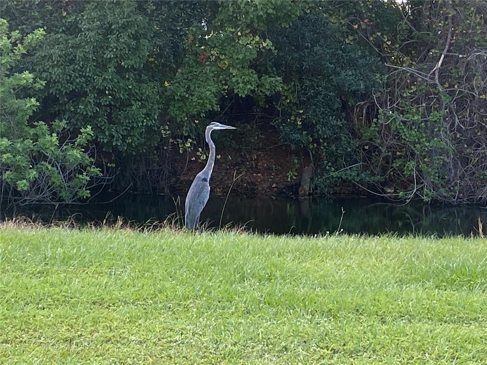 4400 CASTLEPALM RD, ORLANDO, FL, 32839