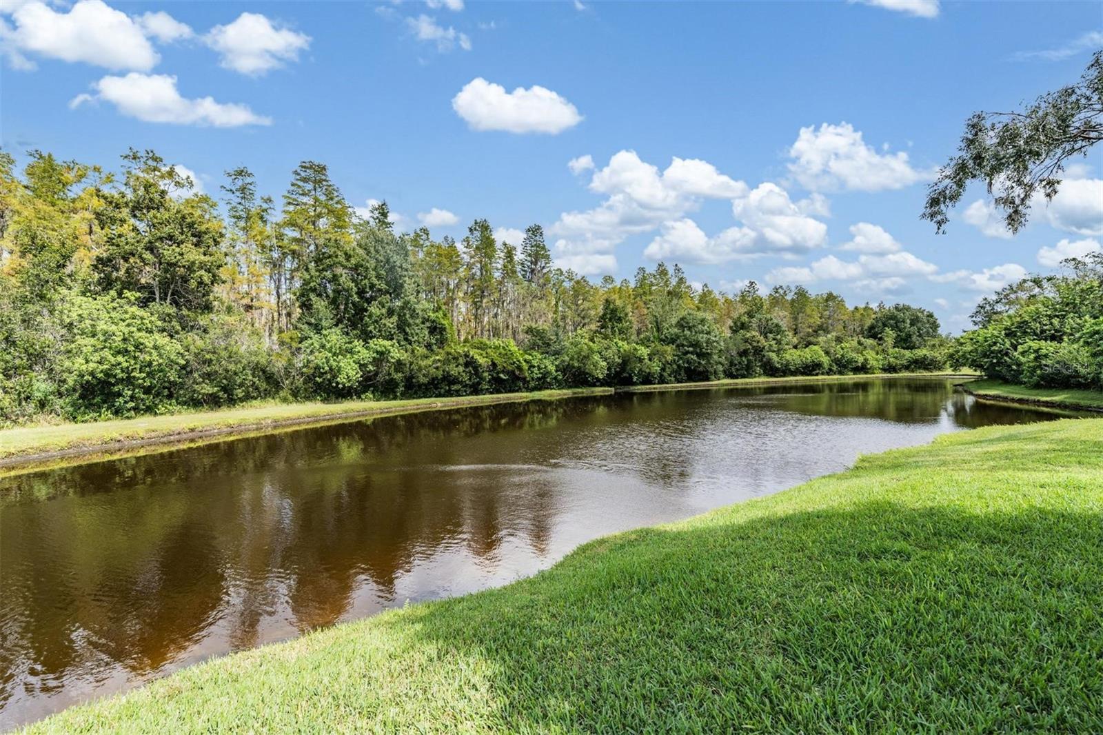 19619 SANDSBURY CT, LAND O LAKES, FL, 34638