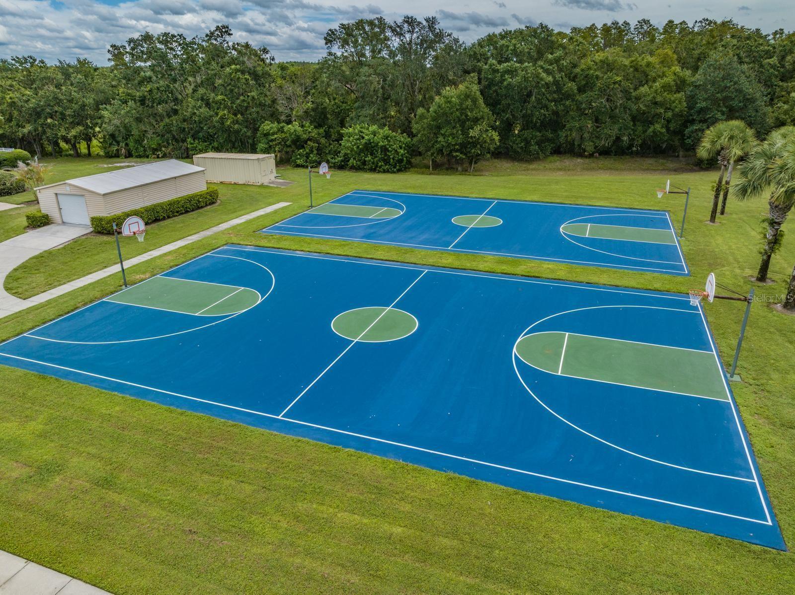 19619 SANDSBURY CT, LAND O LAKES, FL, 34638