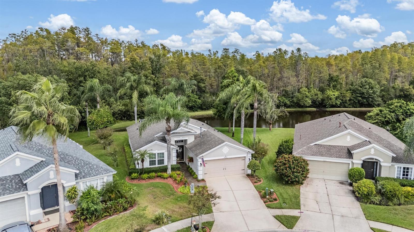 19619 SANDSBURY CT, LAND O LAKES, FL, 34638