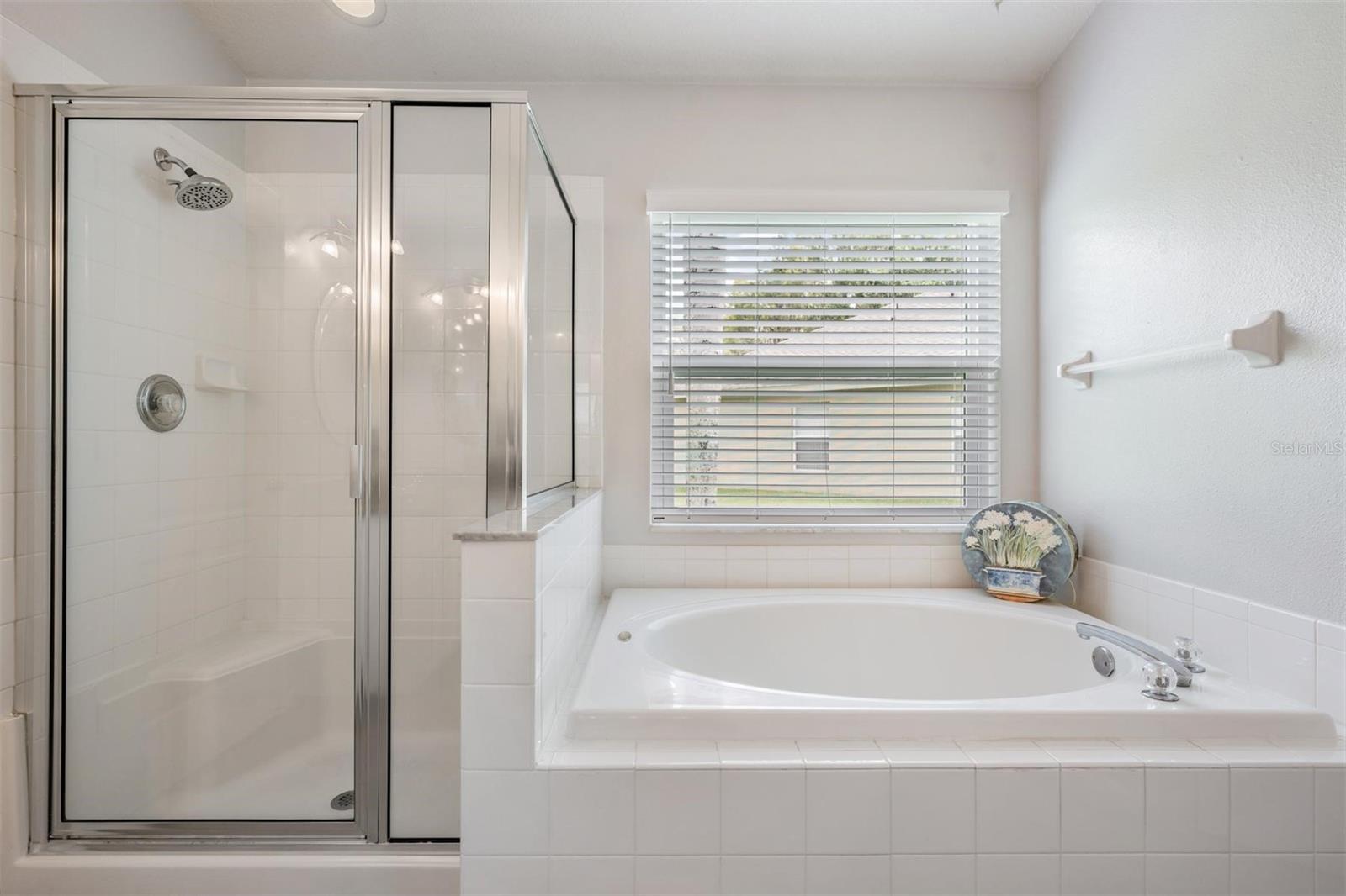 19619 SANDSBURY CT, LAND O LAKES, FL, 34638