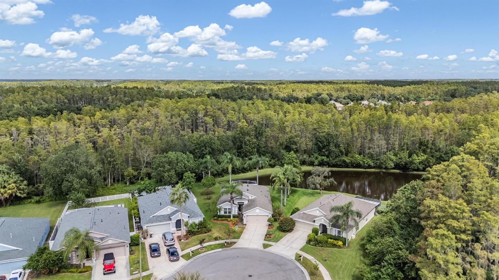 19619 SANDSBURY CT, LAND O LAKES, FL, 34638