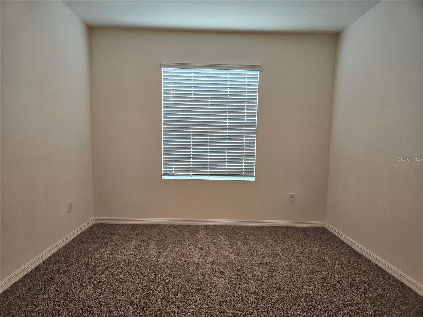 11115 CRESCENT DEER DR, LAND O LAKES, FL, 34638