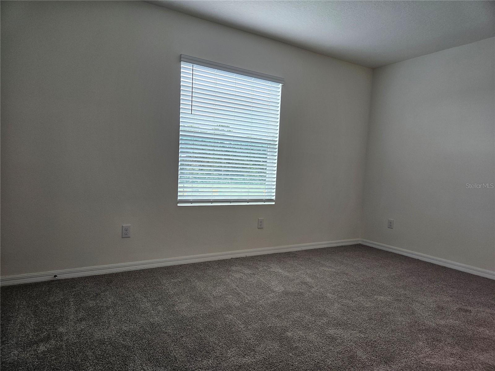 11115 CRESCENT DEER DR, LAND O LAKES, FL, 34638