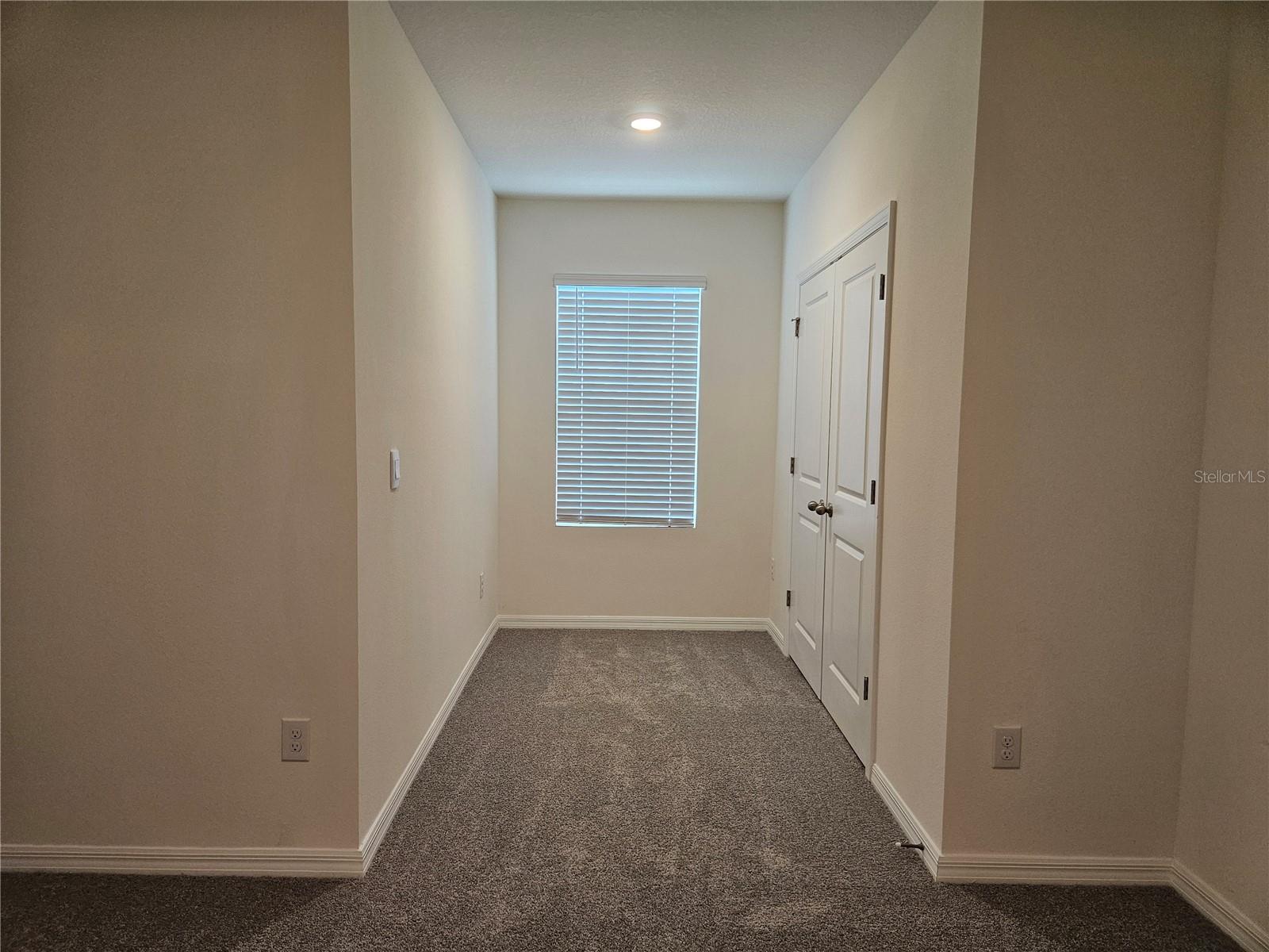 11115 CRESCENT DEER DR, LAND O LAKES, FL, 34638