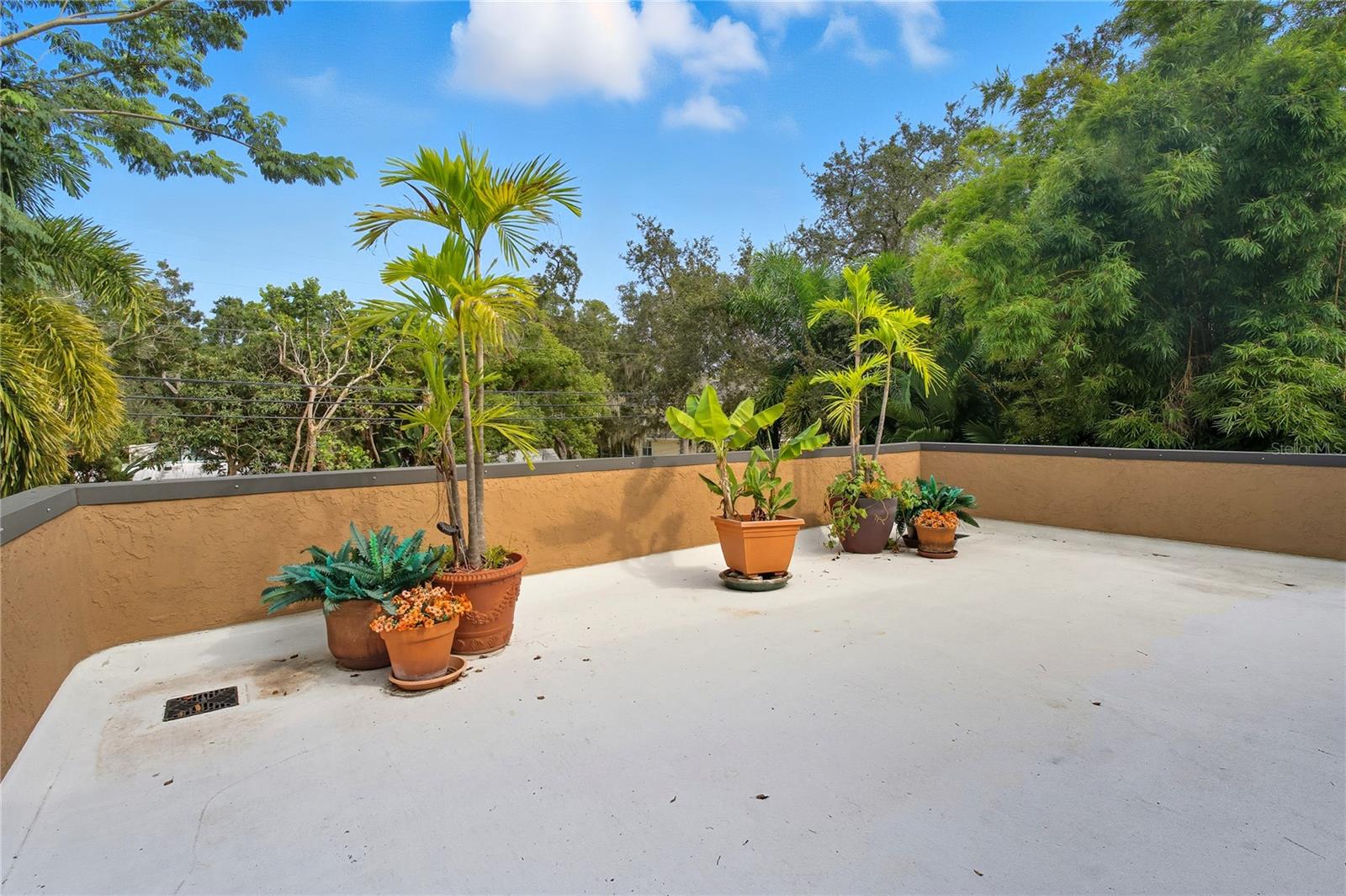 OPEN BALCONY OVERLOOKING ORANGE ST. ~ CATCH THE PARADES & FESTIVALS FROM RIGHT HERE!