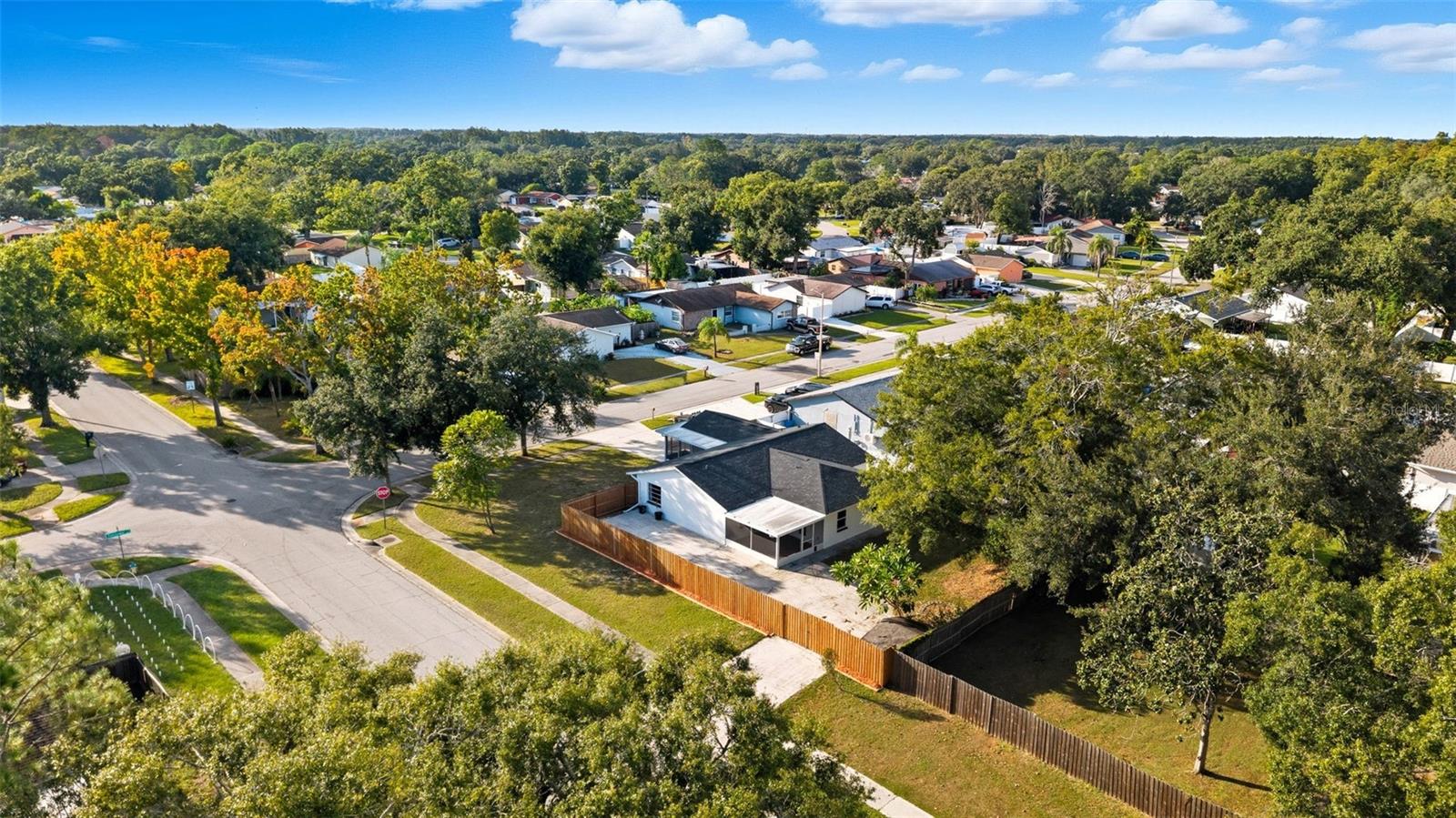 13901 PATHFINDER DR, TAMPA, FL, 33625