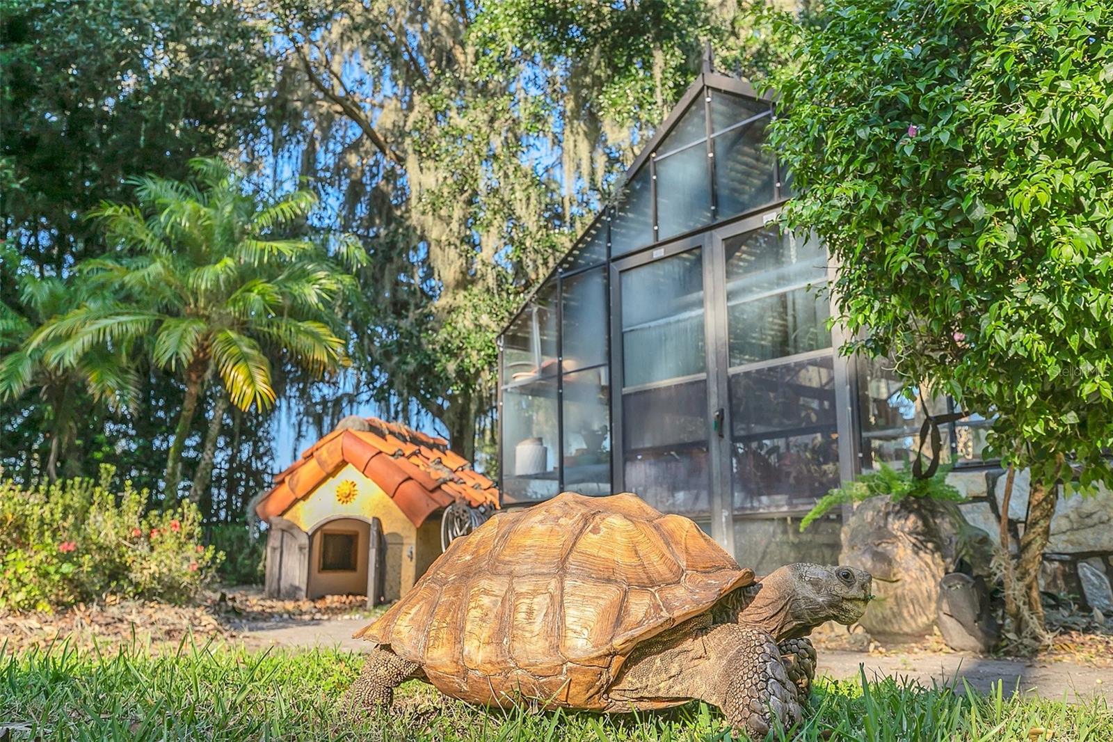 O6350054 Property Photo