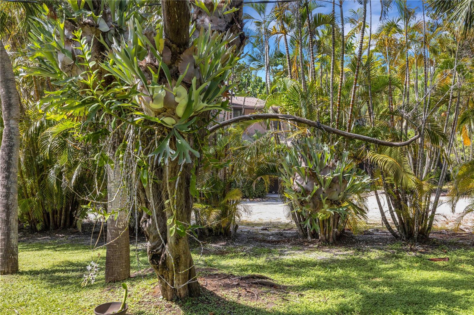 62 SANDY HOOK RD S, SARASOTA, FL, 34242