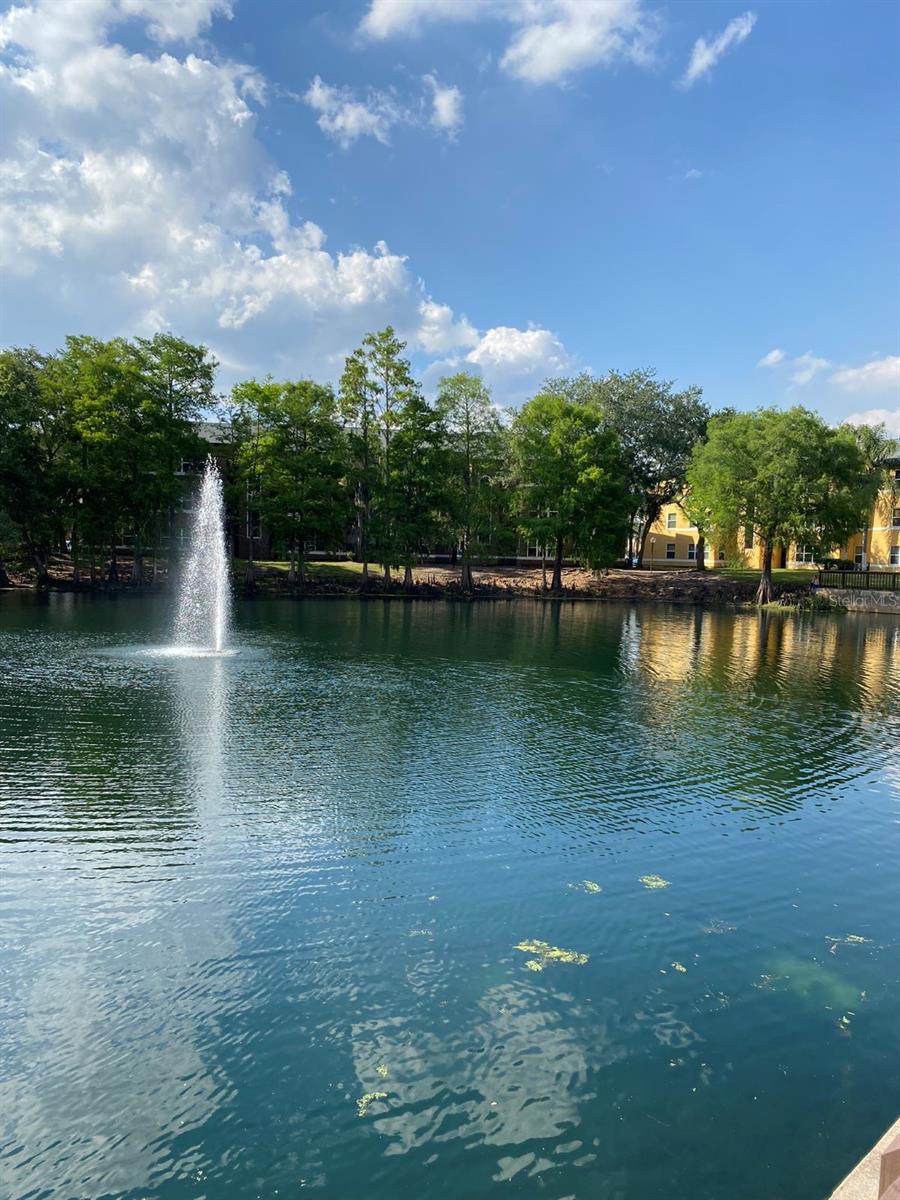 4560 COMMANDER DR #1313, ORLANDO, FL, 32822