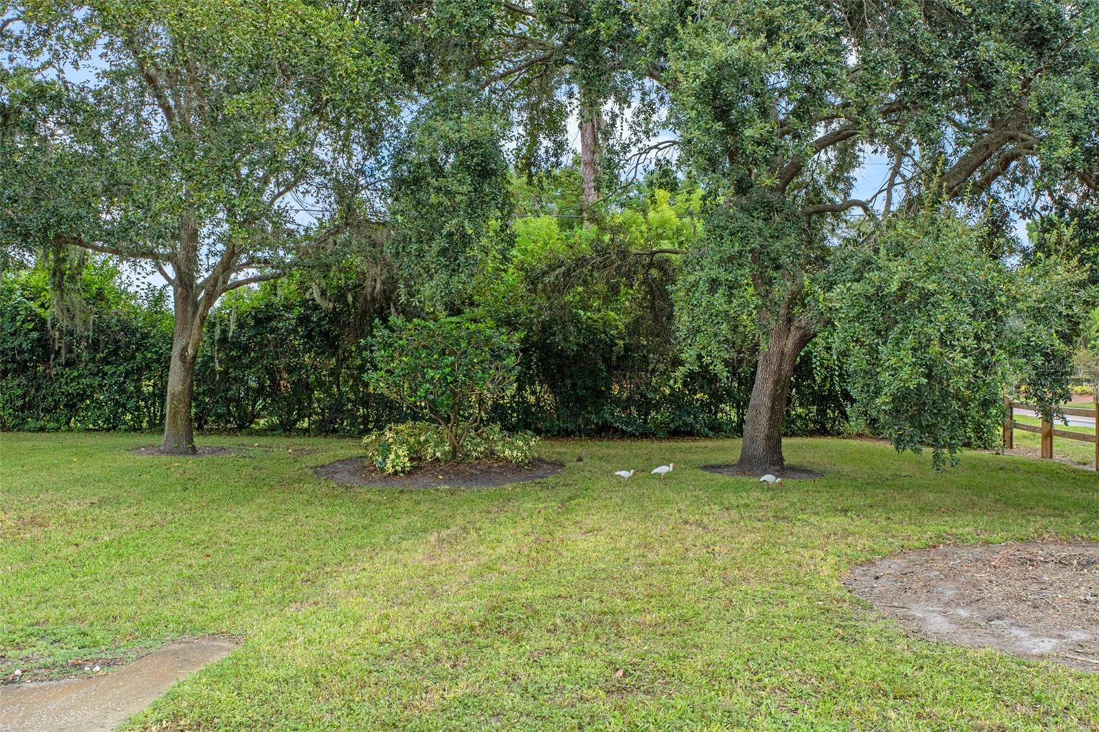 17110 GUNN HWY, ODESSA, FL, 33556