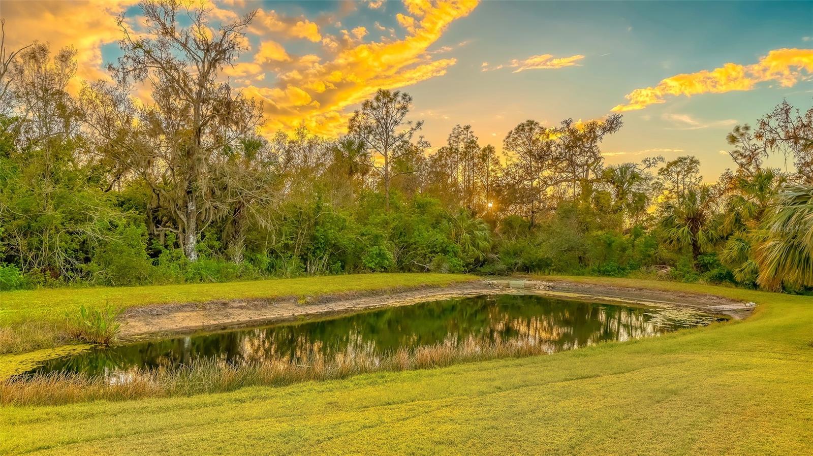 16307 29TH CT E, PARRISH, FL, 34219