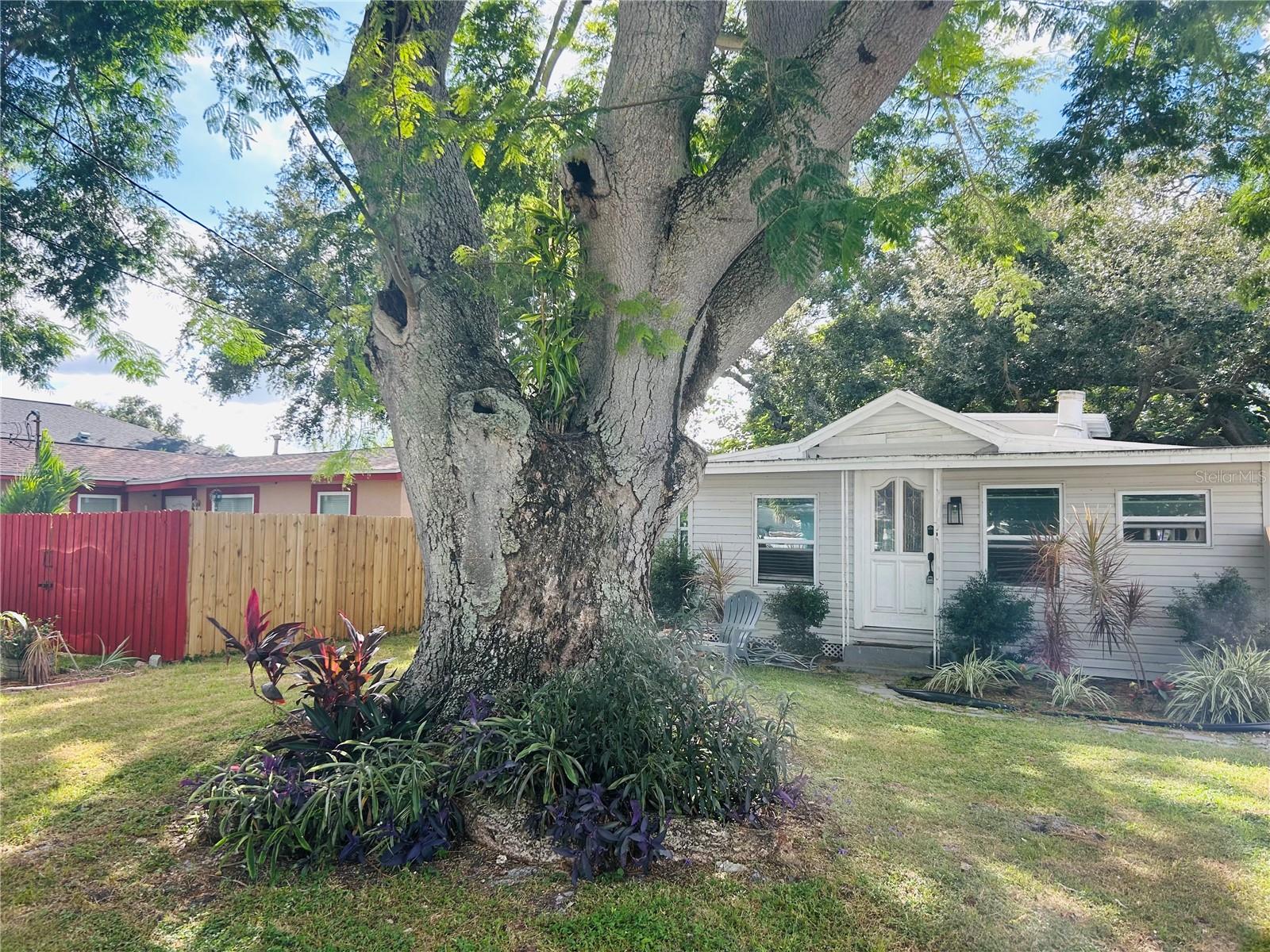 1518 SCRANTON AVE, CLEARWATER, FL, 33756