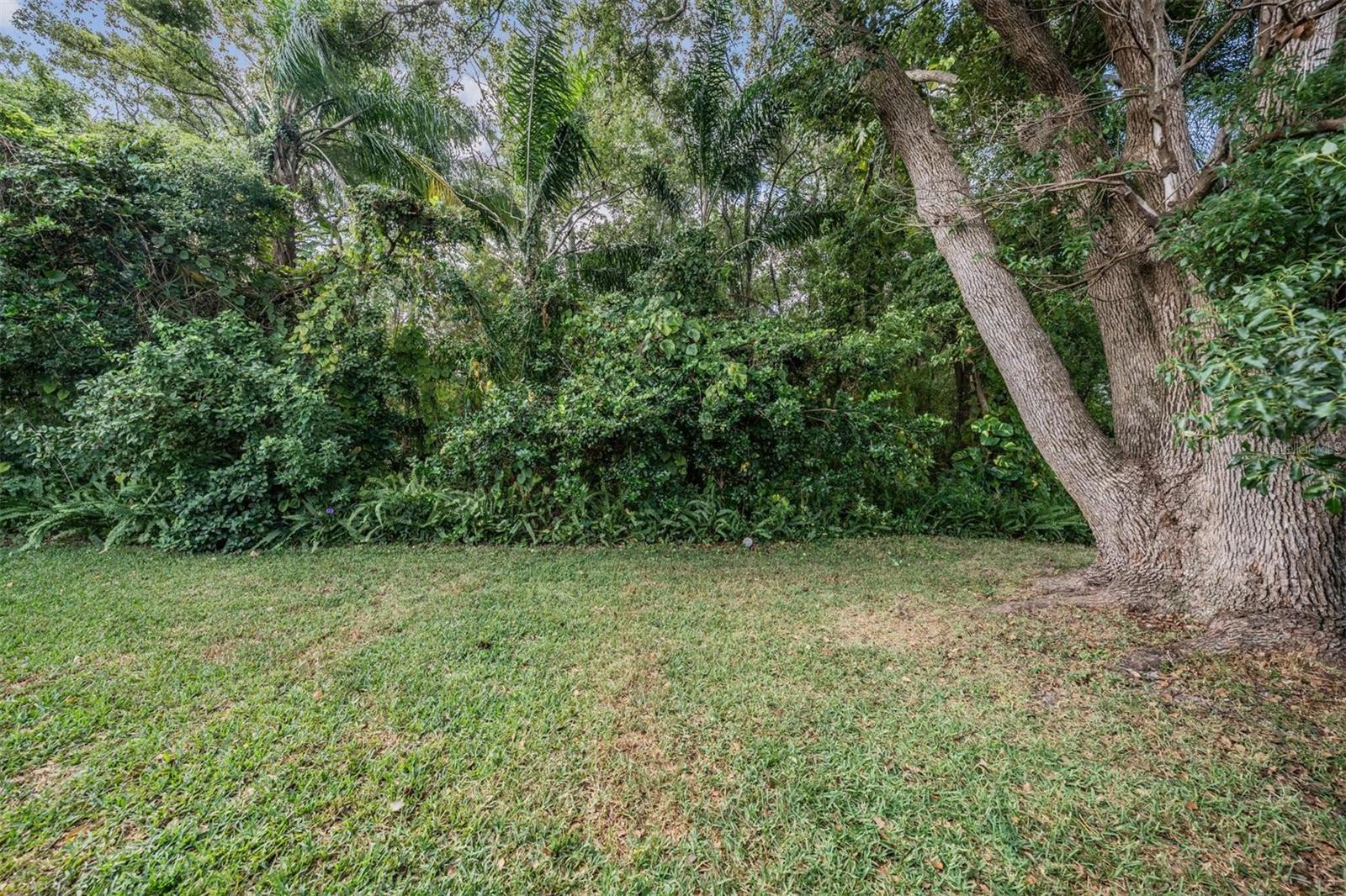 7916 YUCCA DR, NEW PORT RICHEY, FL, 34653