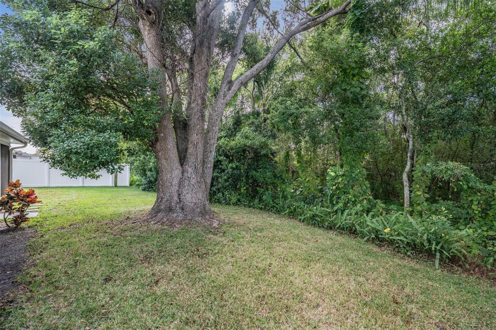 7916 YUCCA DR, NEW PORT RICHEY, FL, 34653