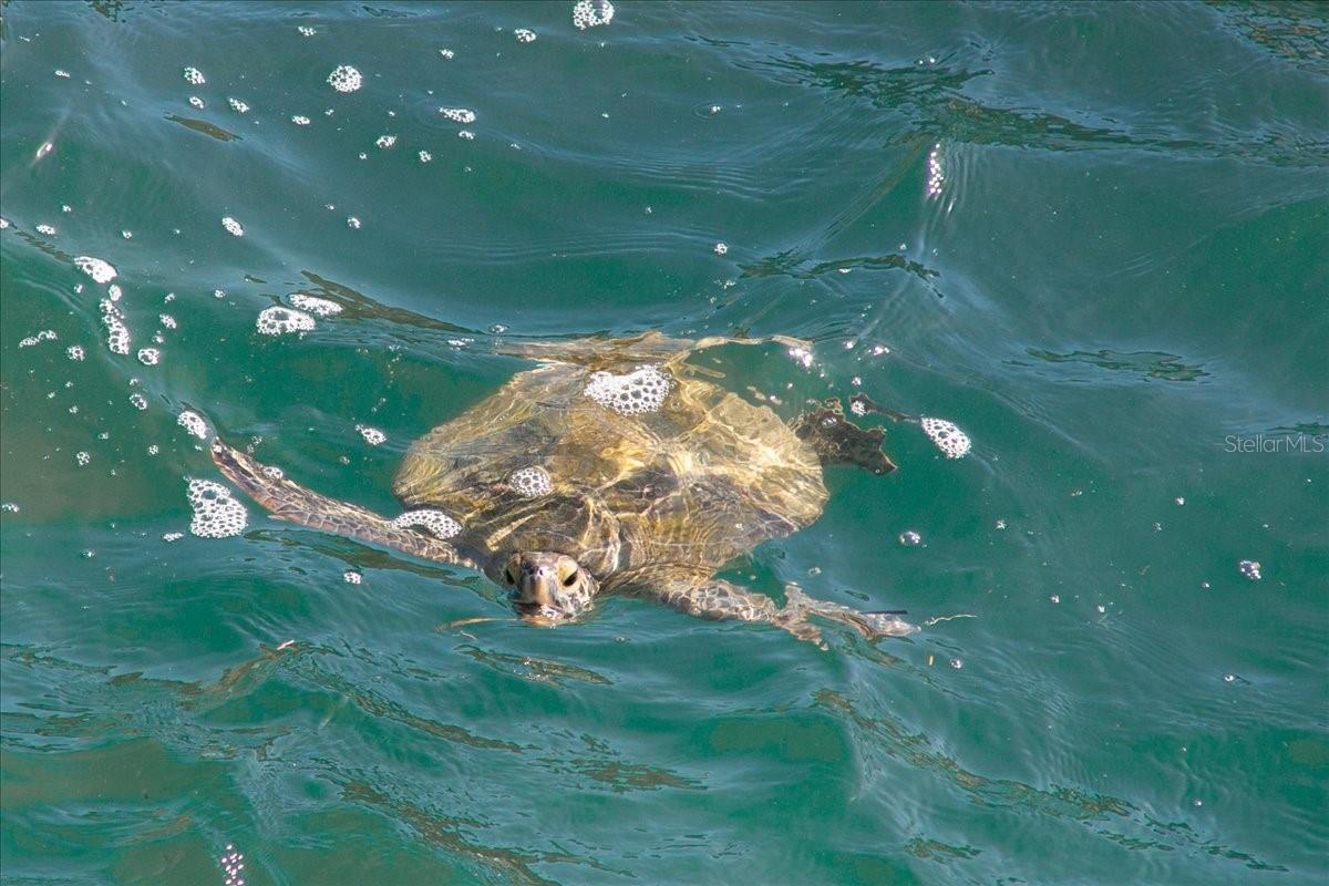 V4945260 Property Photo