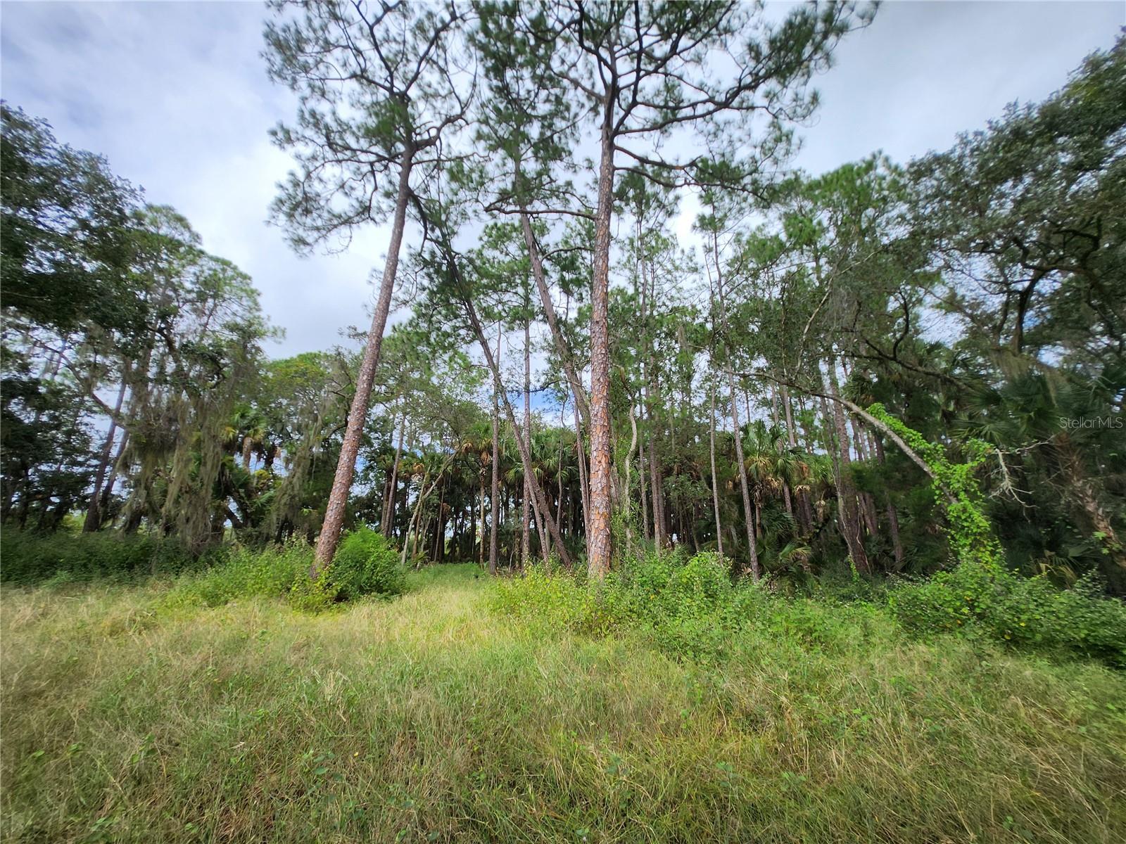 2830 DOE CT, TITUSVILLE, FL, 32780