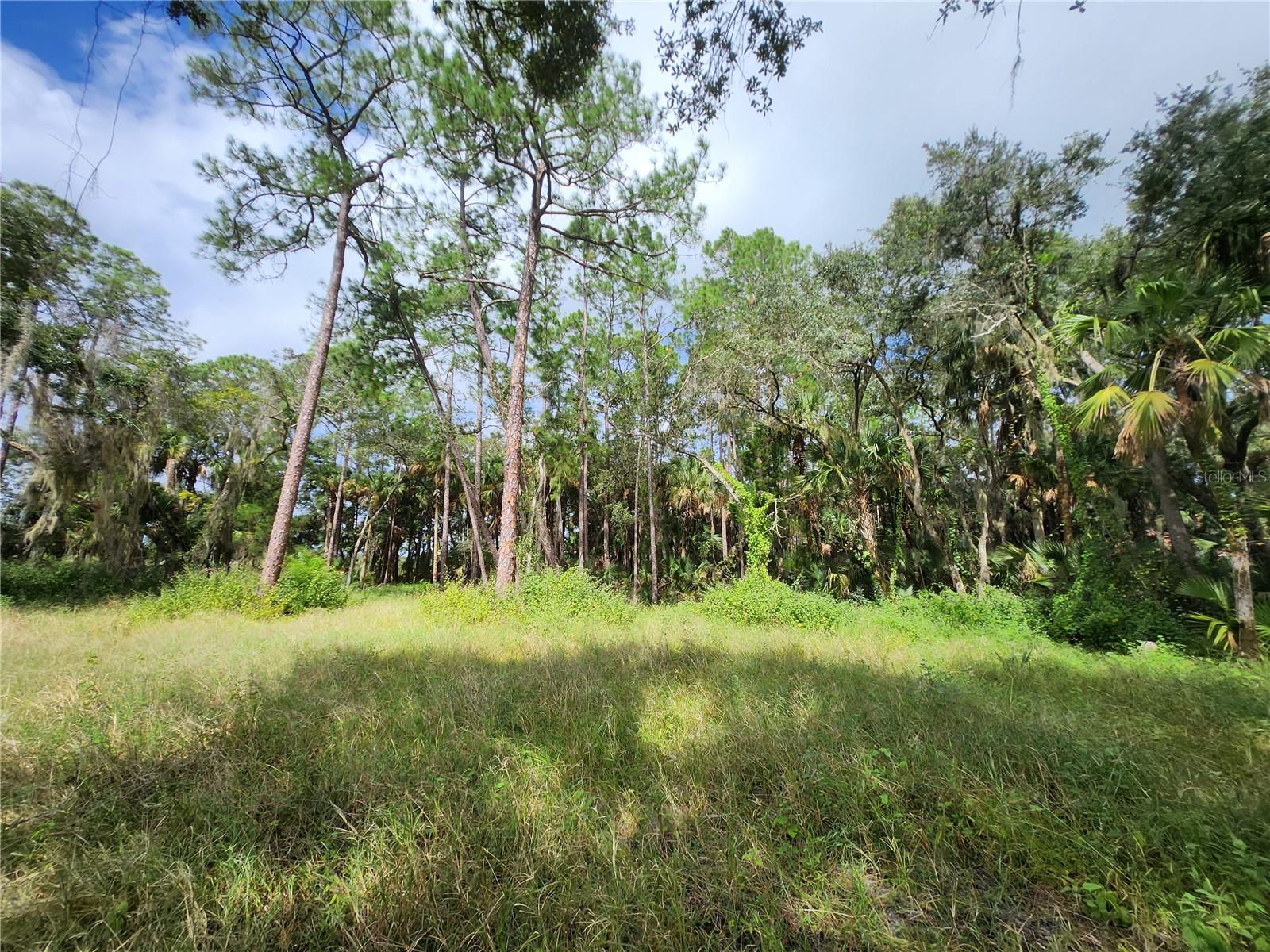 2830 DOE CT, TITUSVILLE, FL, 32780