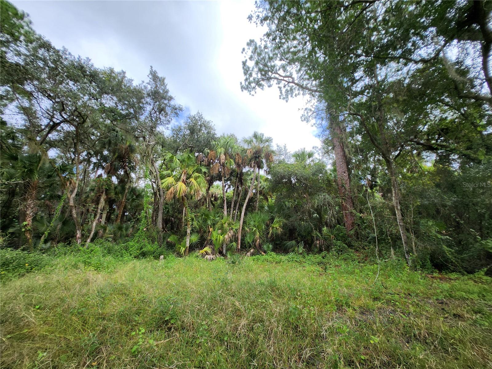 2830 DOE CT, TITUSVILLE, FL, 32780