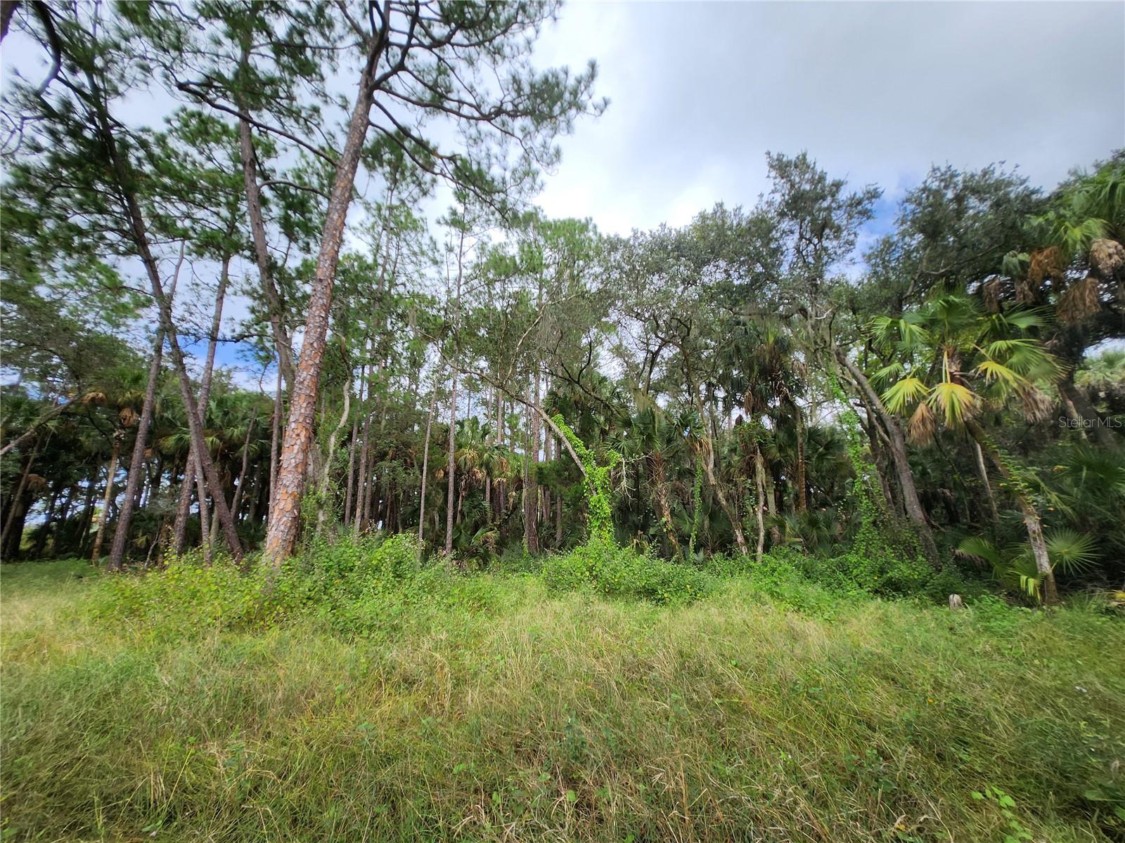 2830 DOE CT, TITUSVILLE, FL, 32780