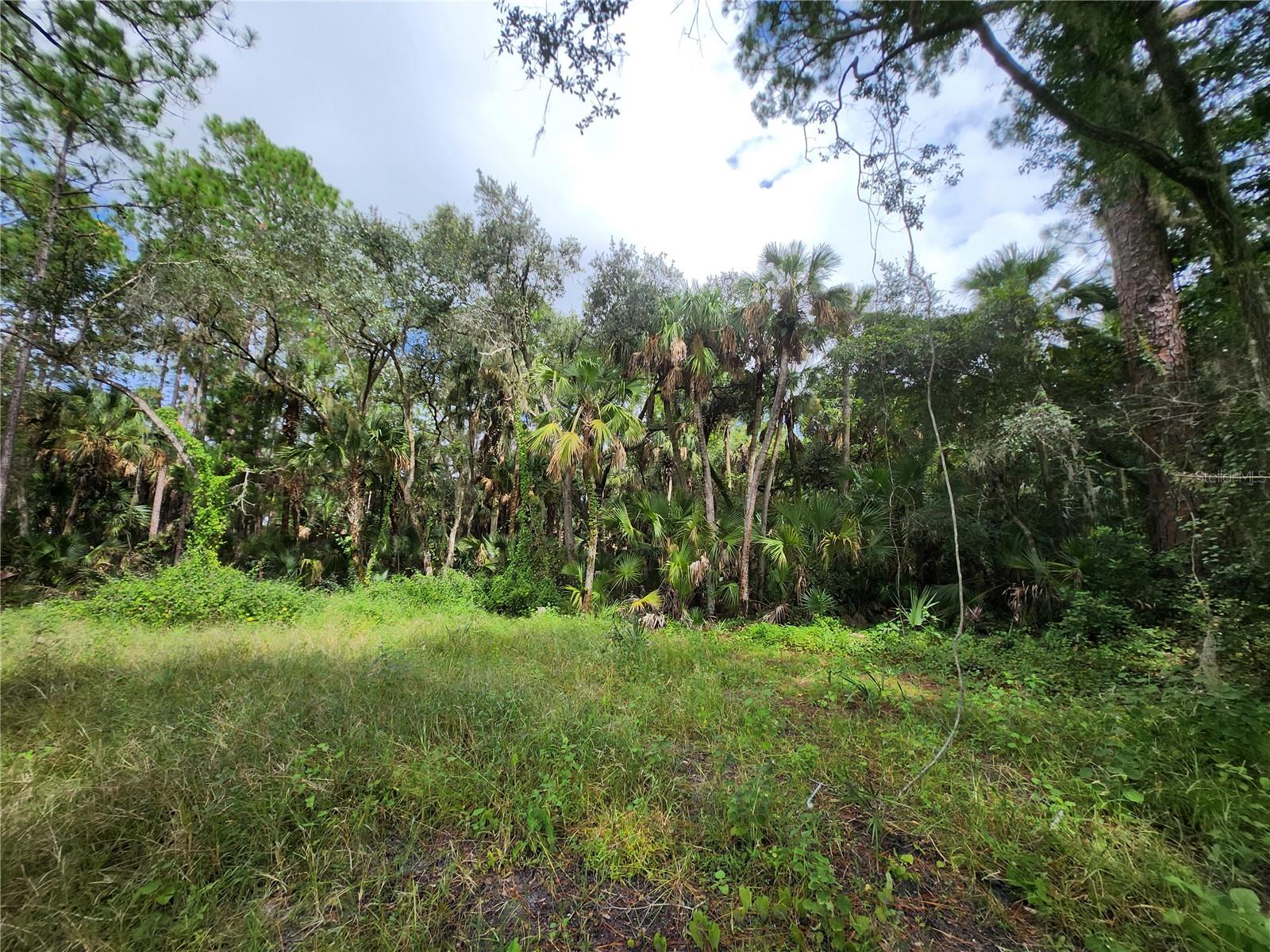 2830 DOE CT, TITUSVILLE, FL, 32780