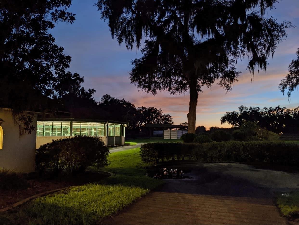 OM710941 Property Photo