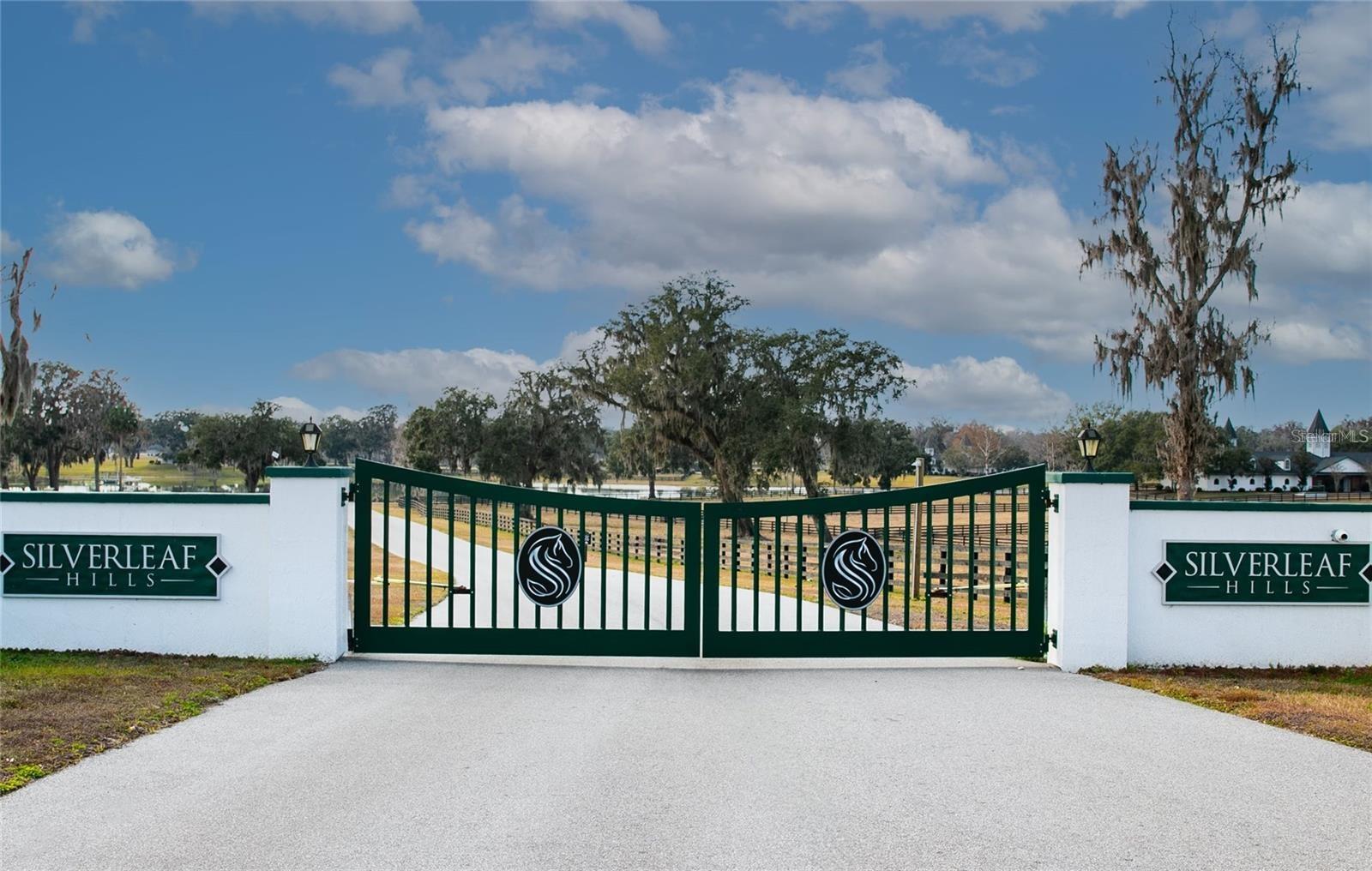 OM710941 Property Photo