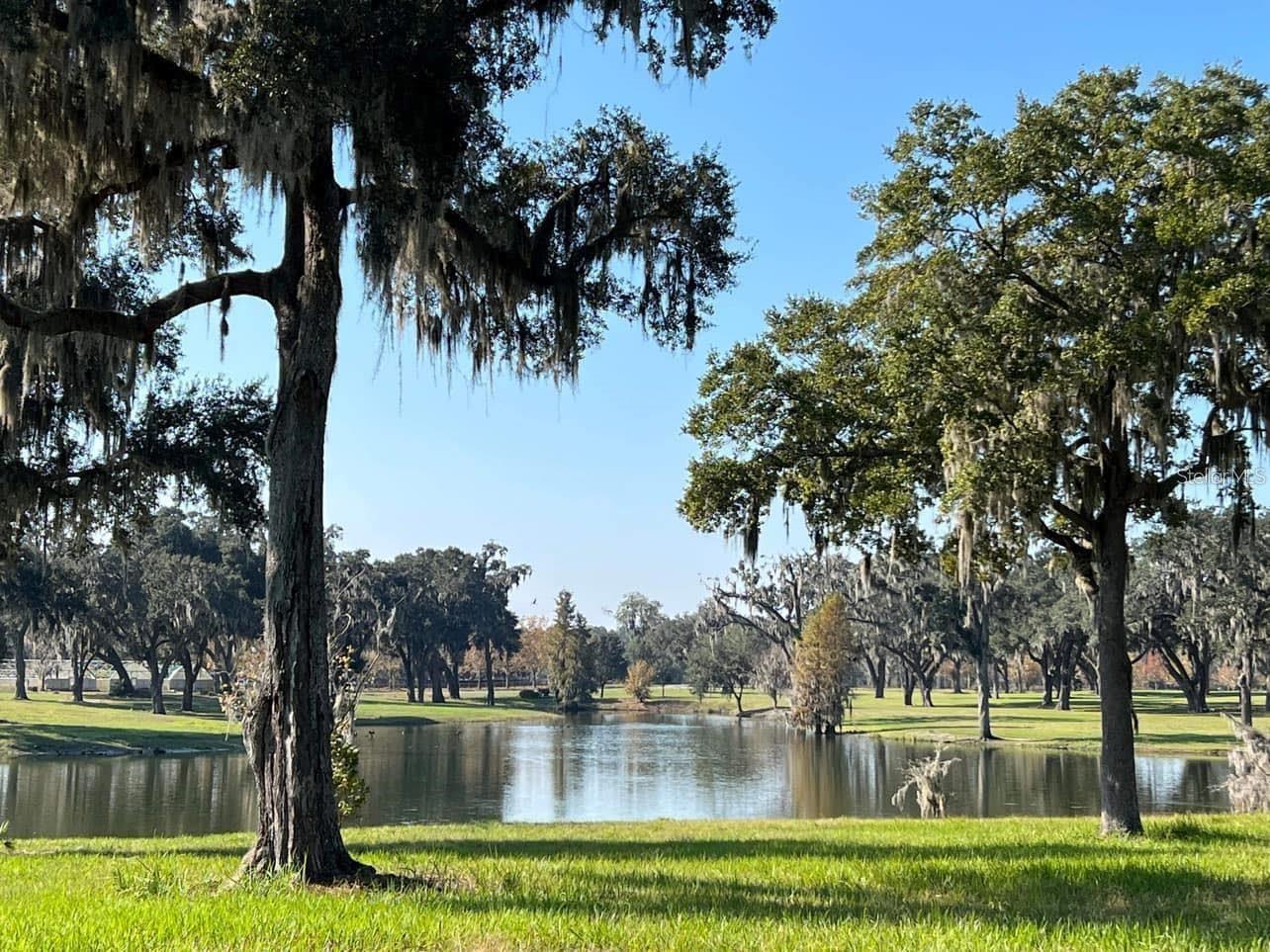 OM710941 Property Photo