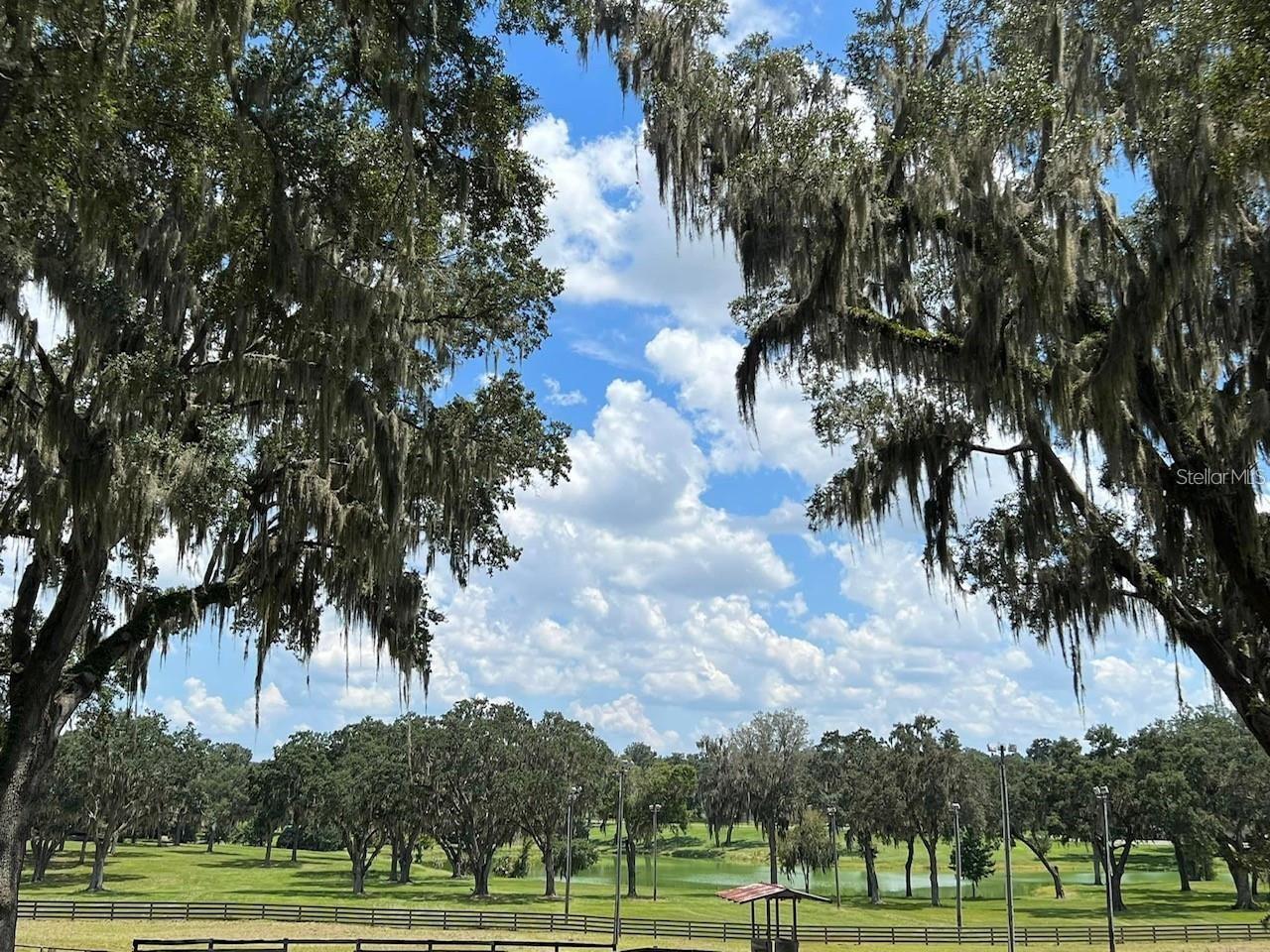 OM710941 Property Photo