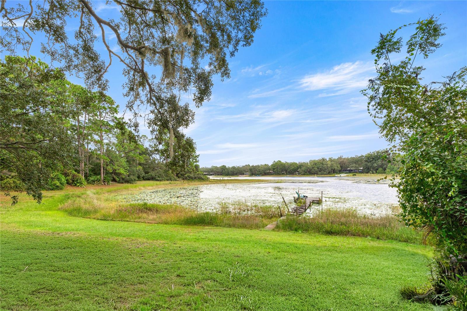 1077 SE 170TH CT, SILVER SPRINGS, FL, 34488