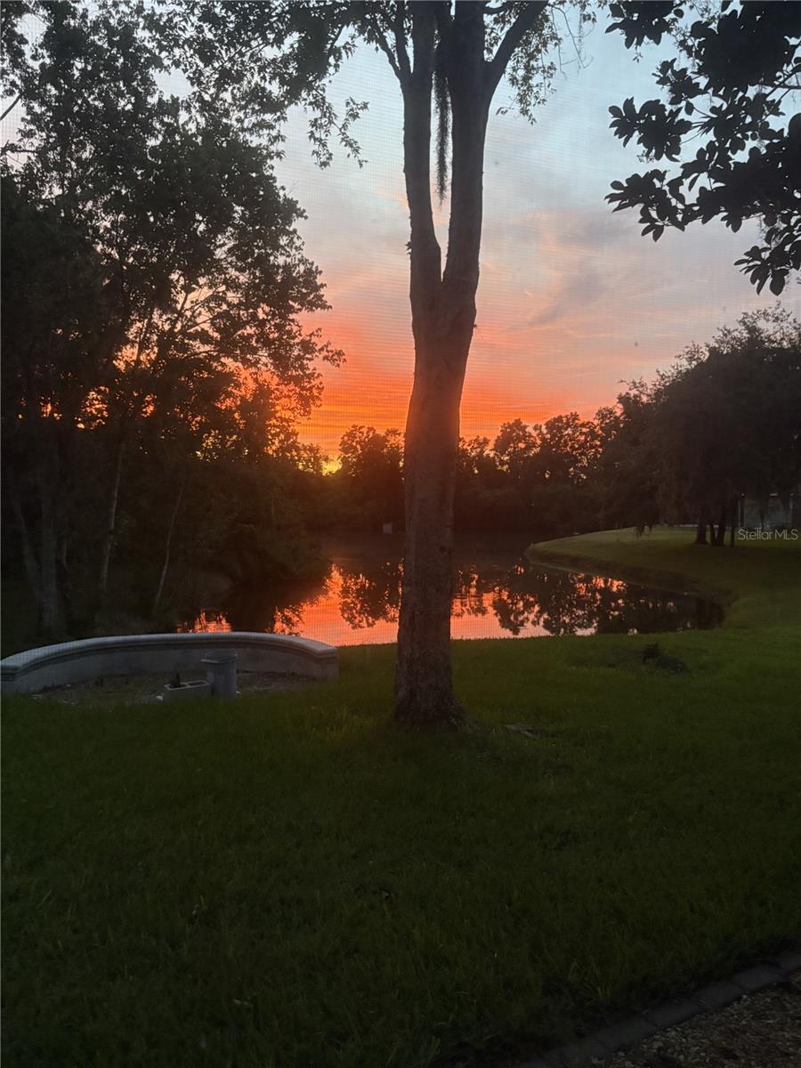 2803 SPRING MEADOW DR, PLANT CITY, FL, 33566