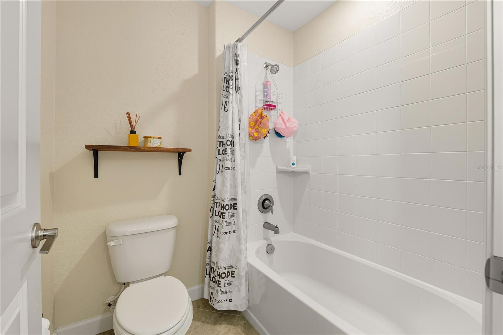 12041 CARDINAL FLOWER DR, RIVERVIEW, FL, 33579