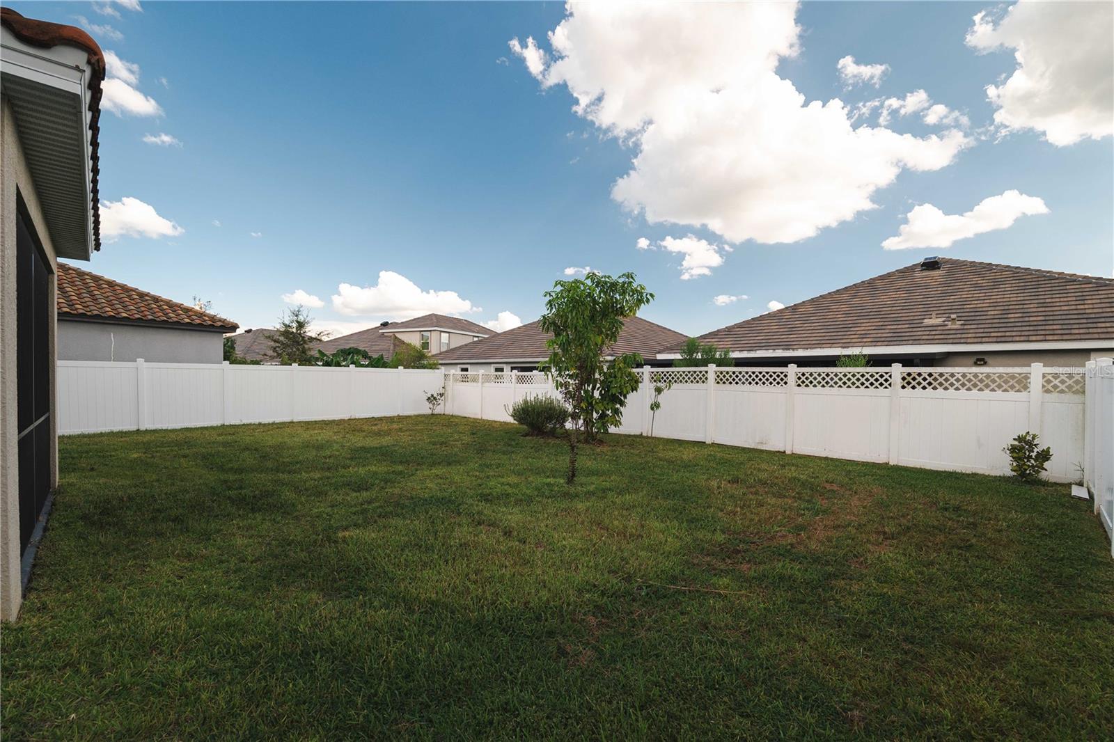 12041 CARDINAL FLOWER DR, RIVERVIEW, FL, 33579