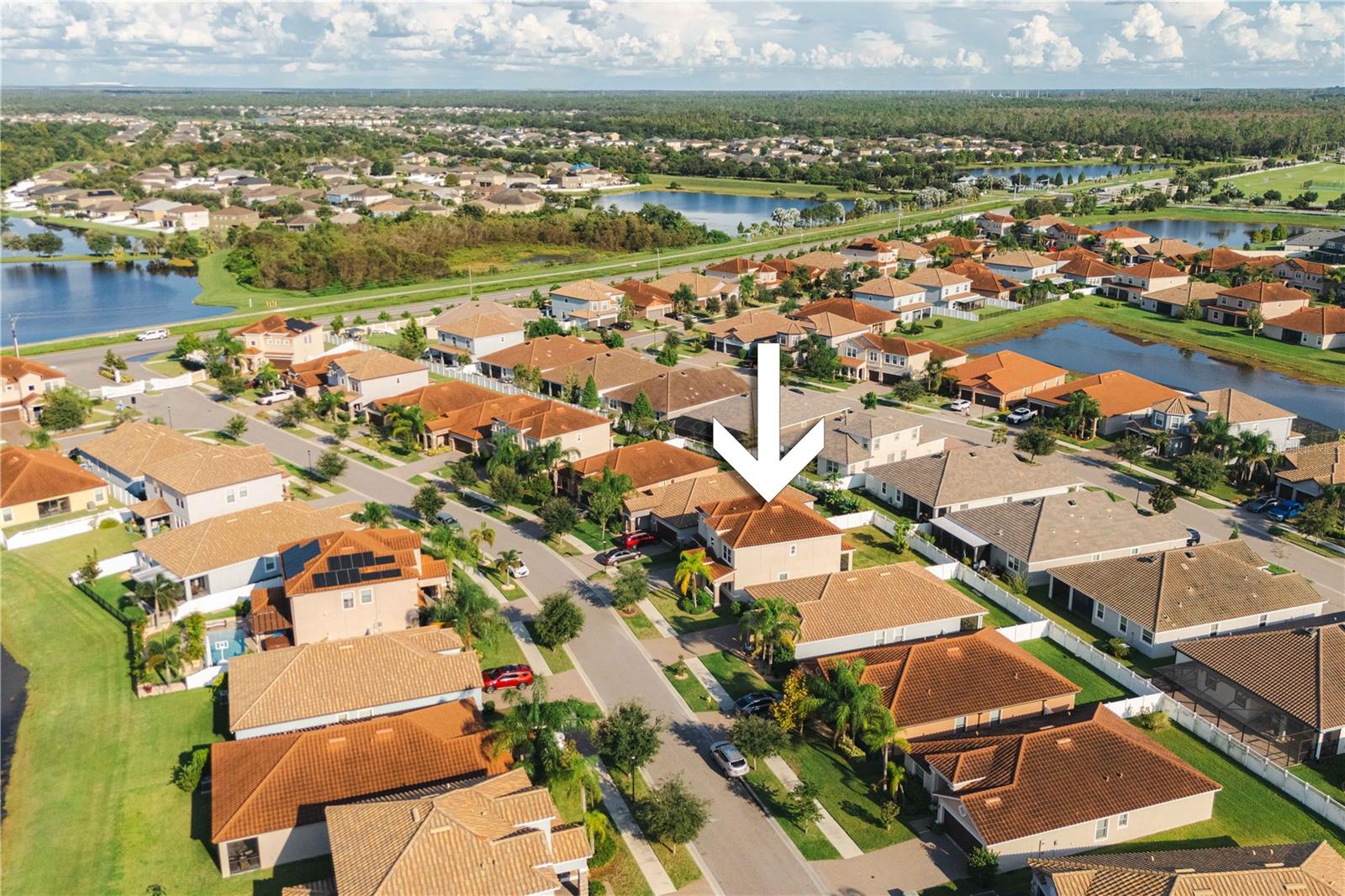 12041 CARDINAL FLOWER DR, RIVERVIEW, FL, 33579