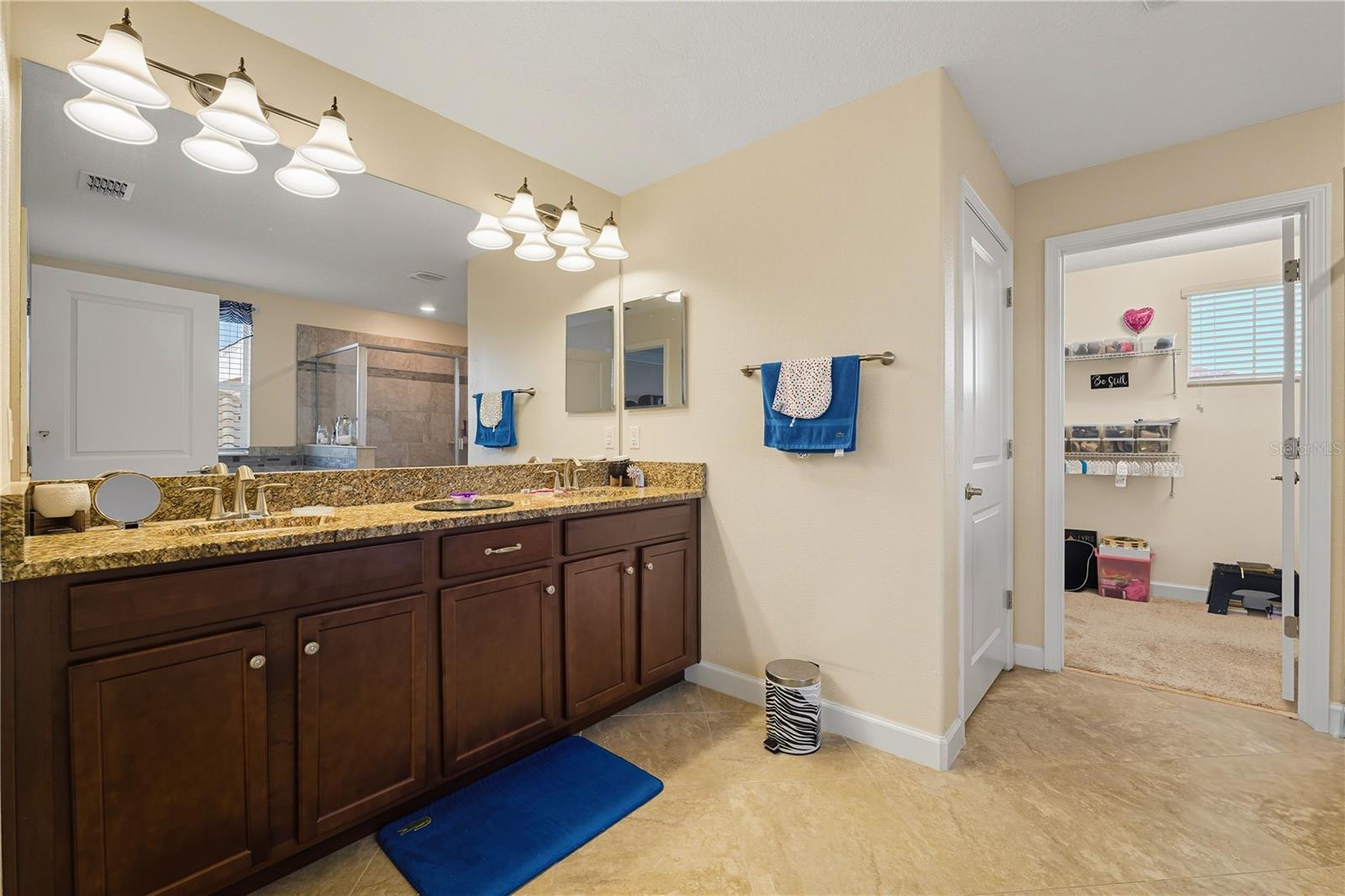 12041 CARDINAL FLOWER DR, RIVERVIEW, FL, 33579