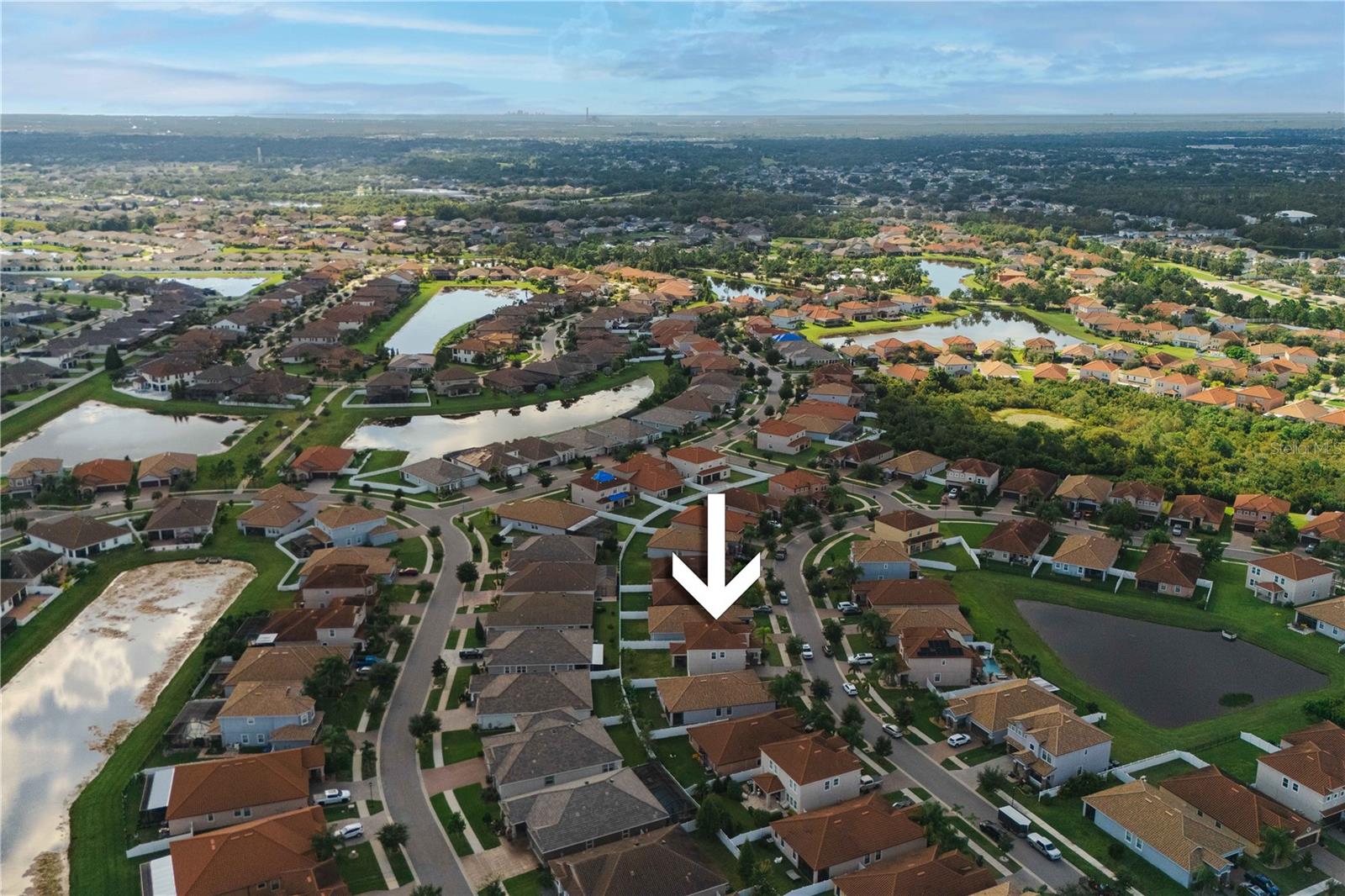 12041 CARDINAL FLOWER DR, RIVERVIEW, FL, 33579