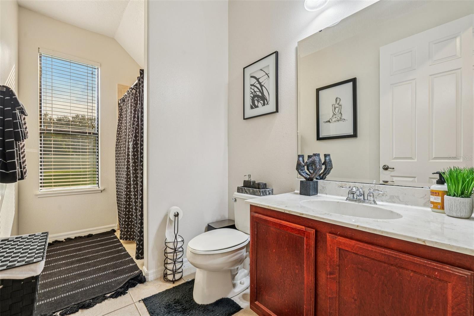 3978 BLOSSOM DEW DR, KISSIMMEE, FL, 34746