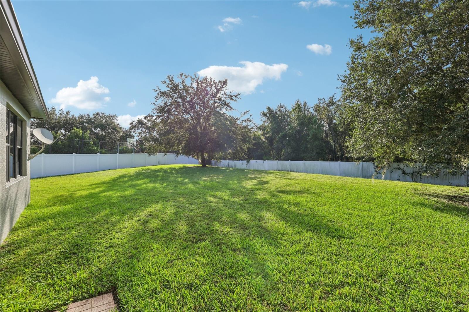 3978 BLOSSOM DEW DR, KISSIMMEE, FL, 34746