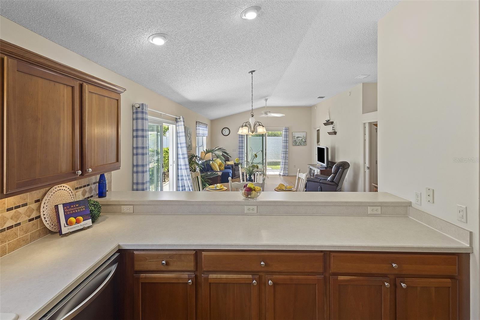 2053 DUVAL CT, THE VILLAGES, FL, 32162