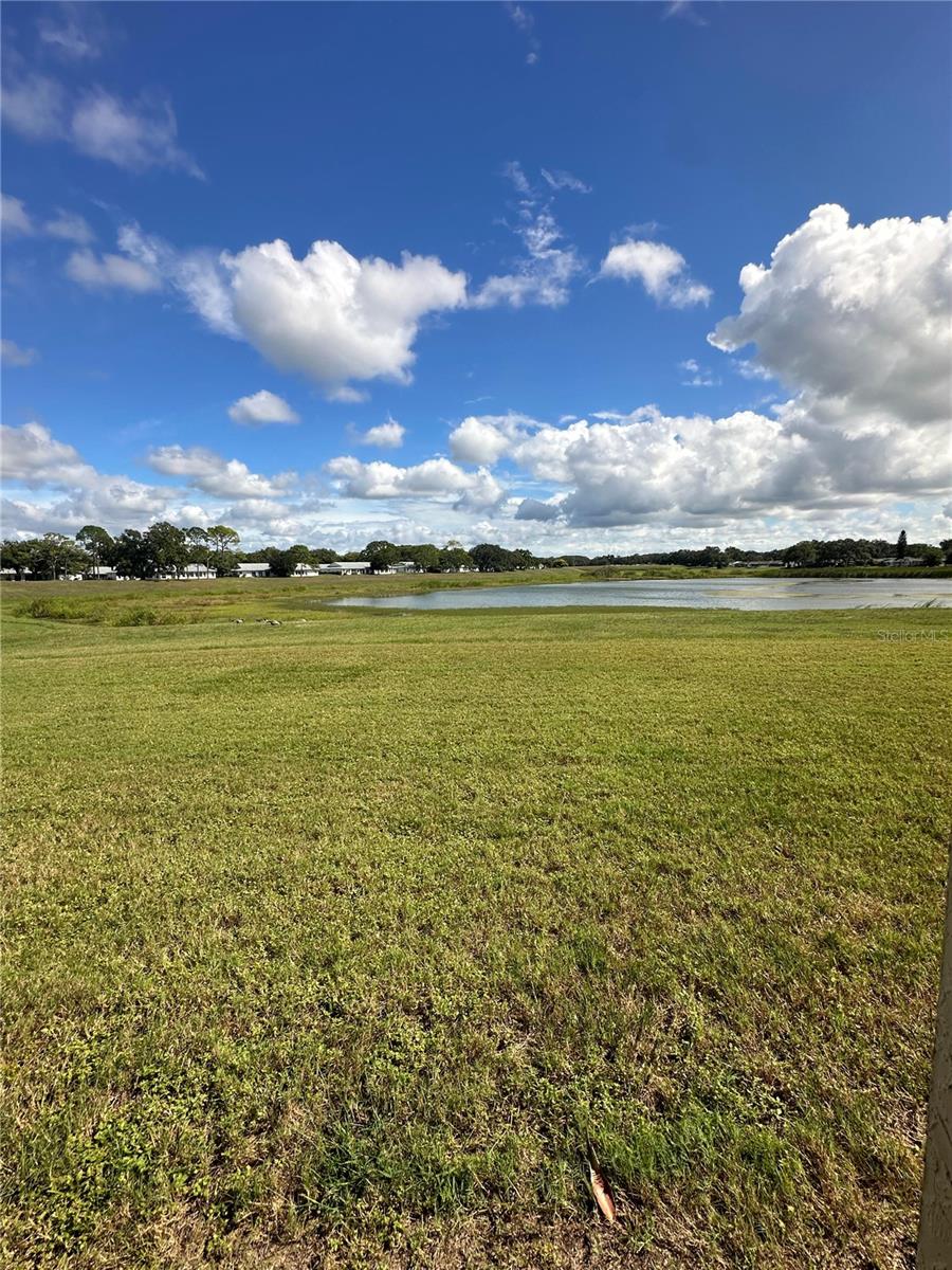 11130 CARRIAGE HILL DR #4, PORT RICHEY, FL, 34668