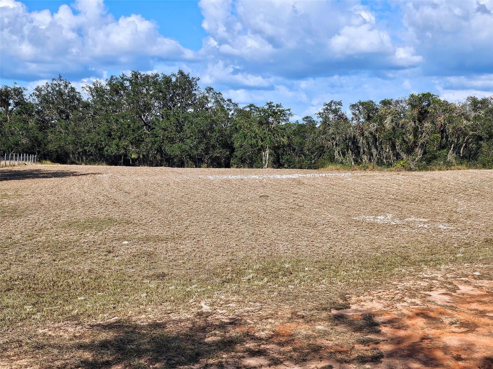 643 FAZZINI RD, BABSON PARK, FL, 33827