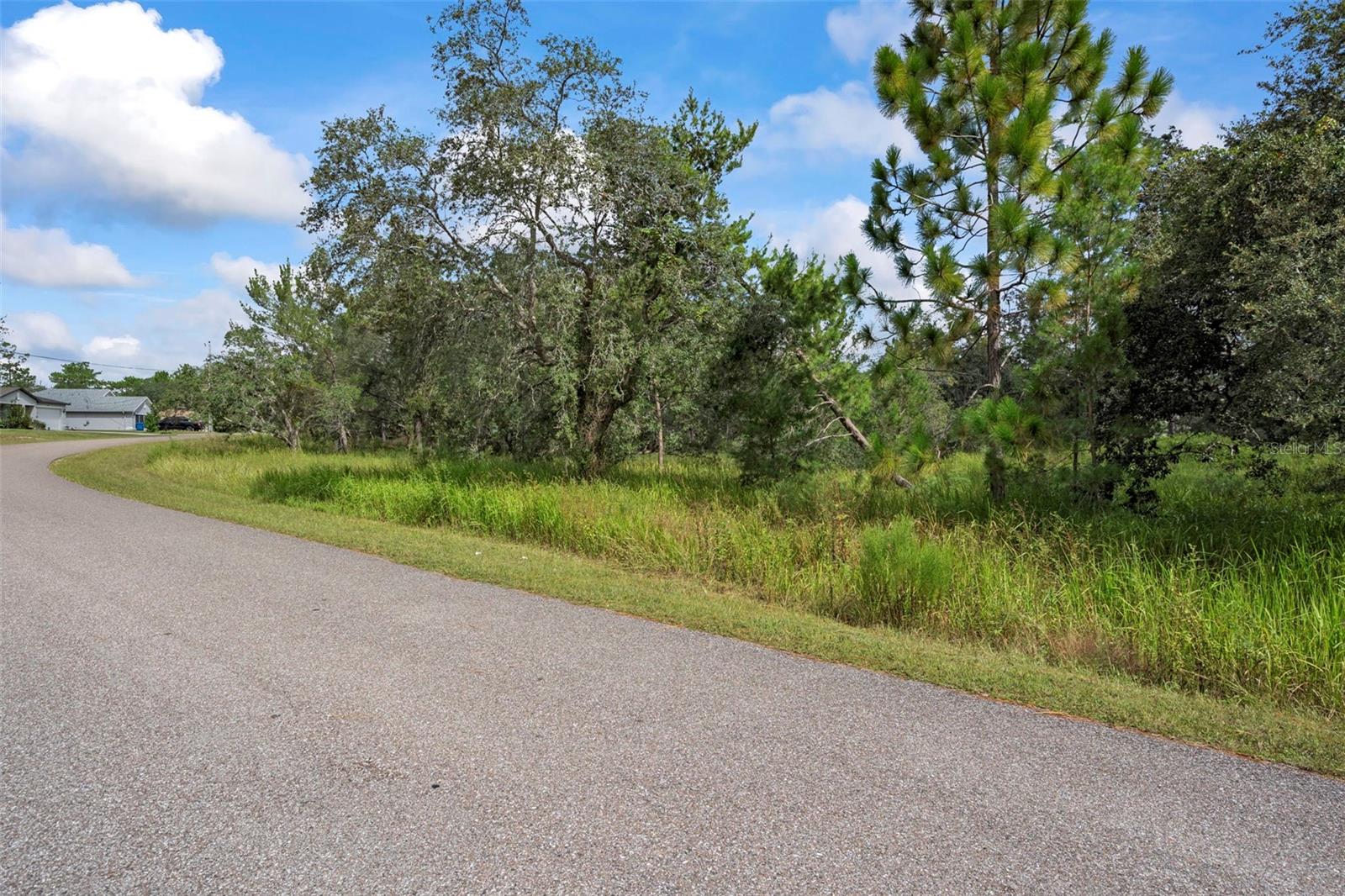 00 MARBLED GODWIT RD, WEEKI WACHEE, FL, 34614