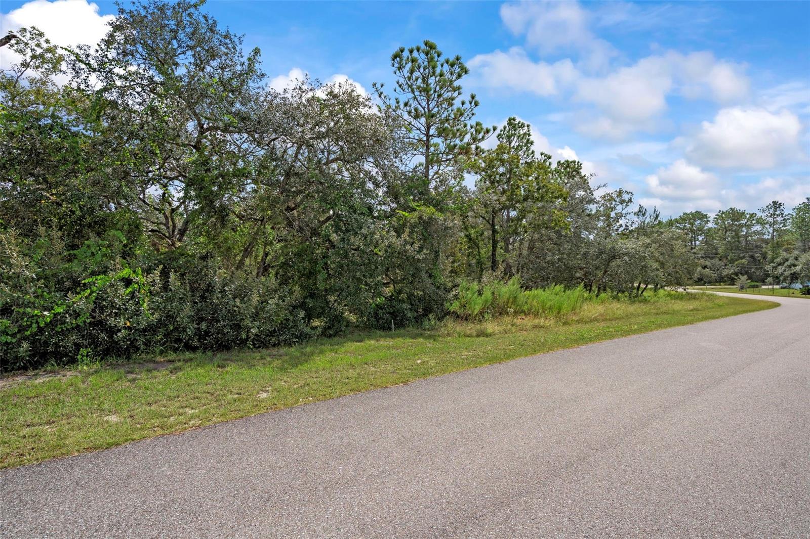 00 MARBLED GODWIT RD, WEEKI WACHEE, FL, 34614