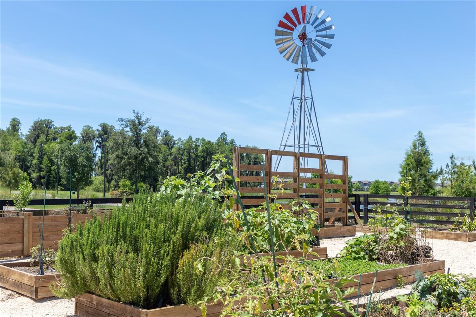 12158 BROKEN OAK LN, ODESSA, FL, 33556