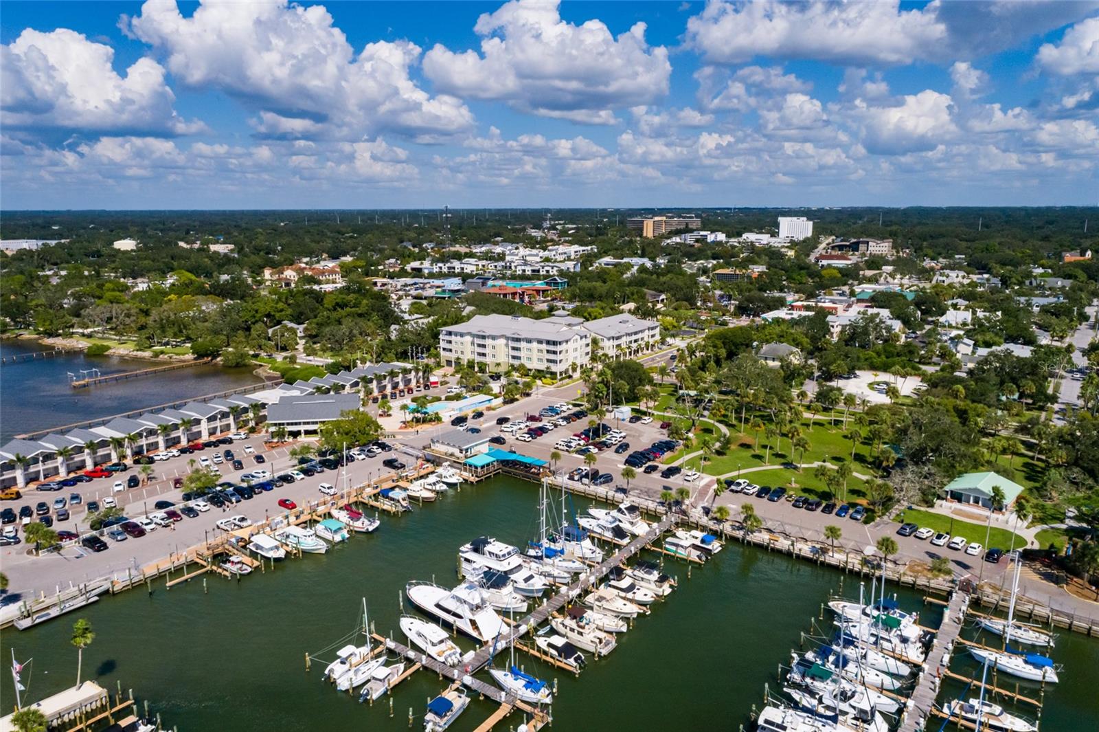 200 MAIN ST #210, DUNEDIN, FL, 34698