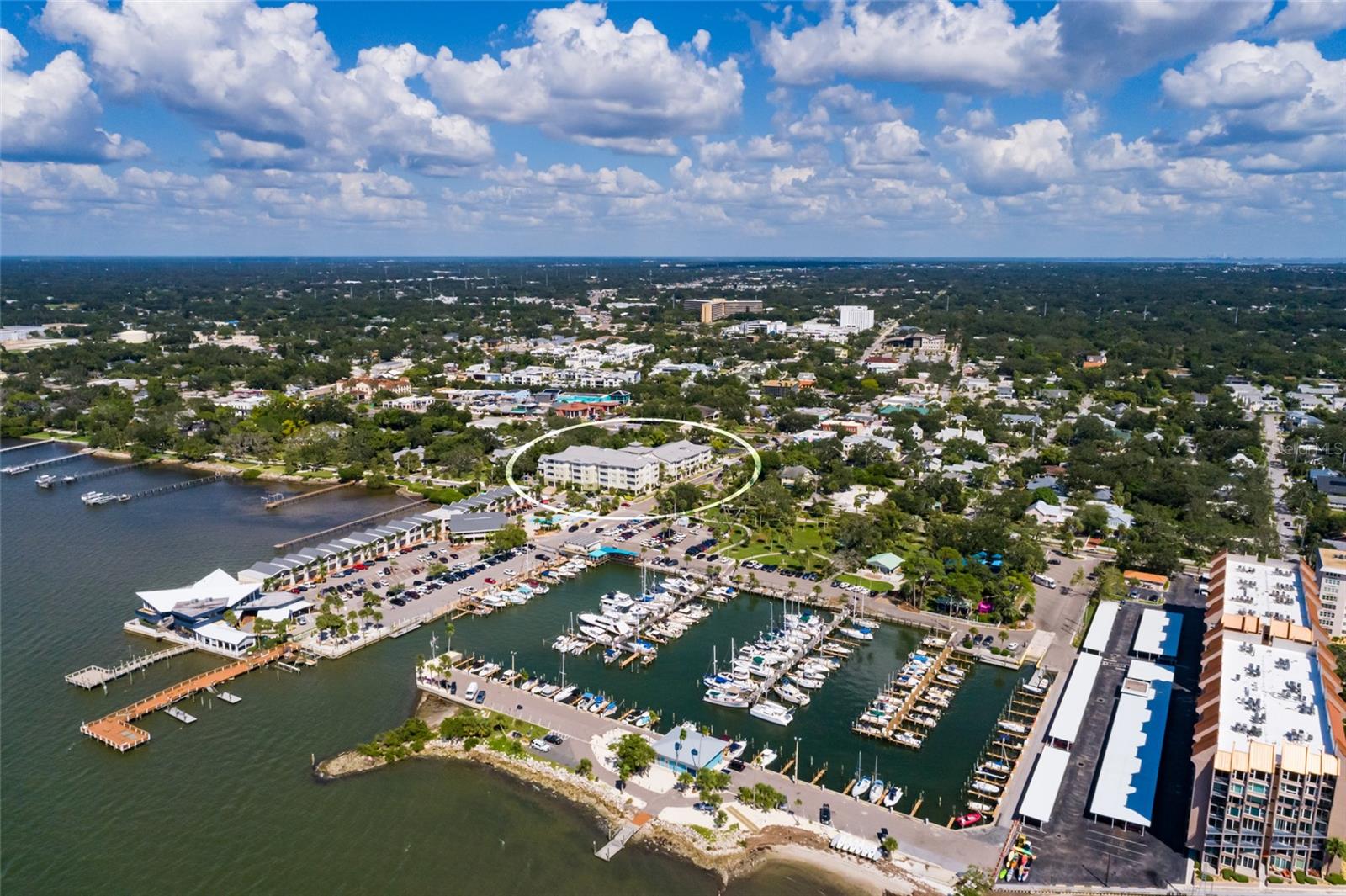 200 MAIN ST #210, DUNEDIN, FL, 34698