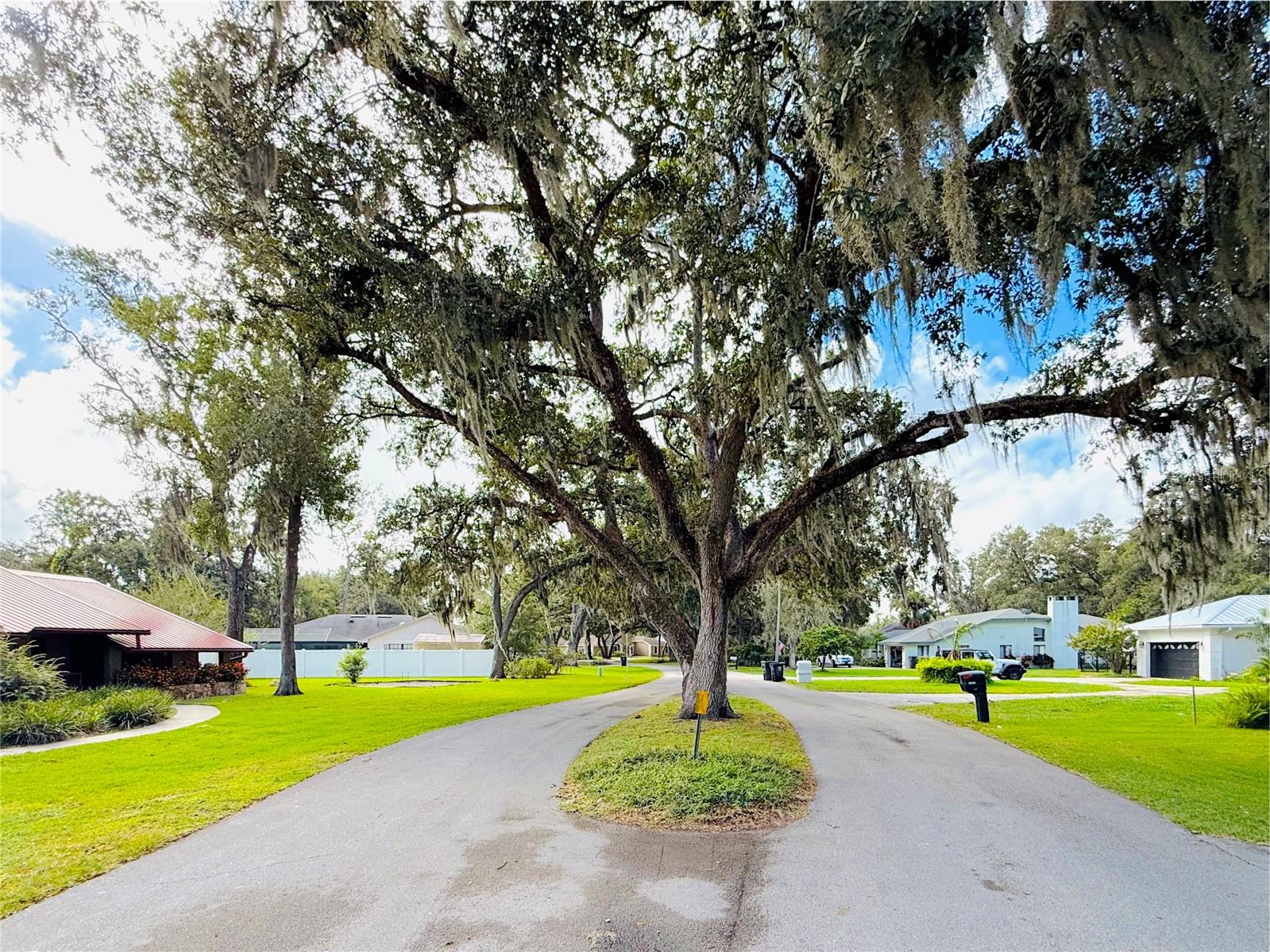 5901 DEER FLAG DR, LAKELAND, FL, 33811