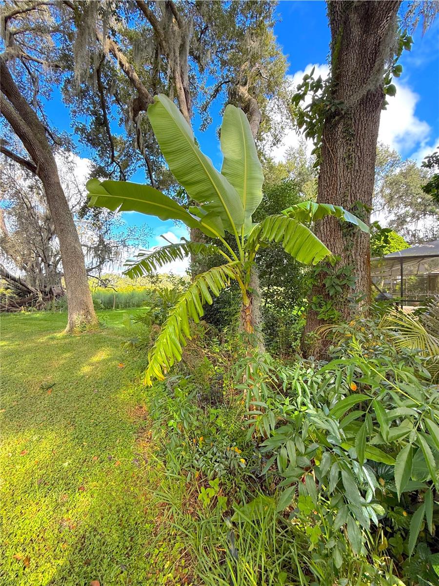 5901 DEER FLAG DR, LAKELAND, FL, 33811